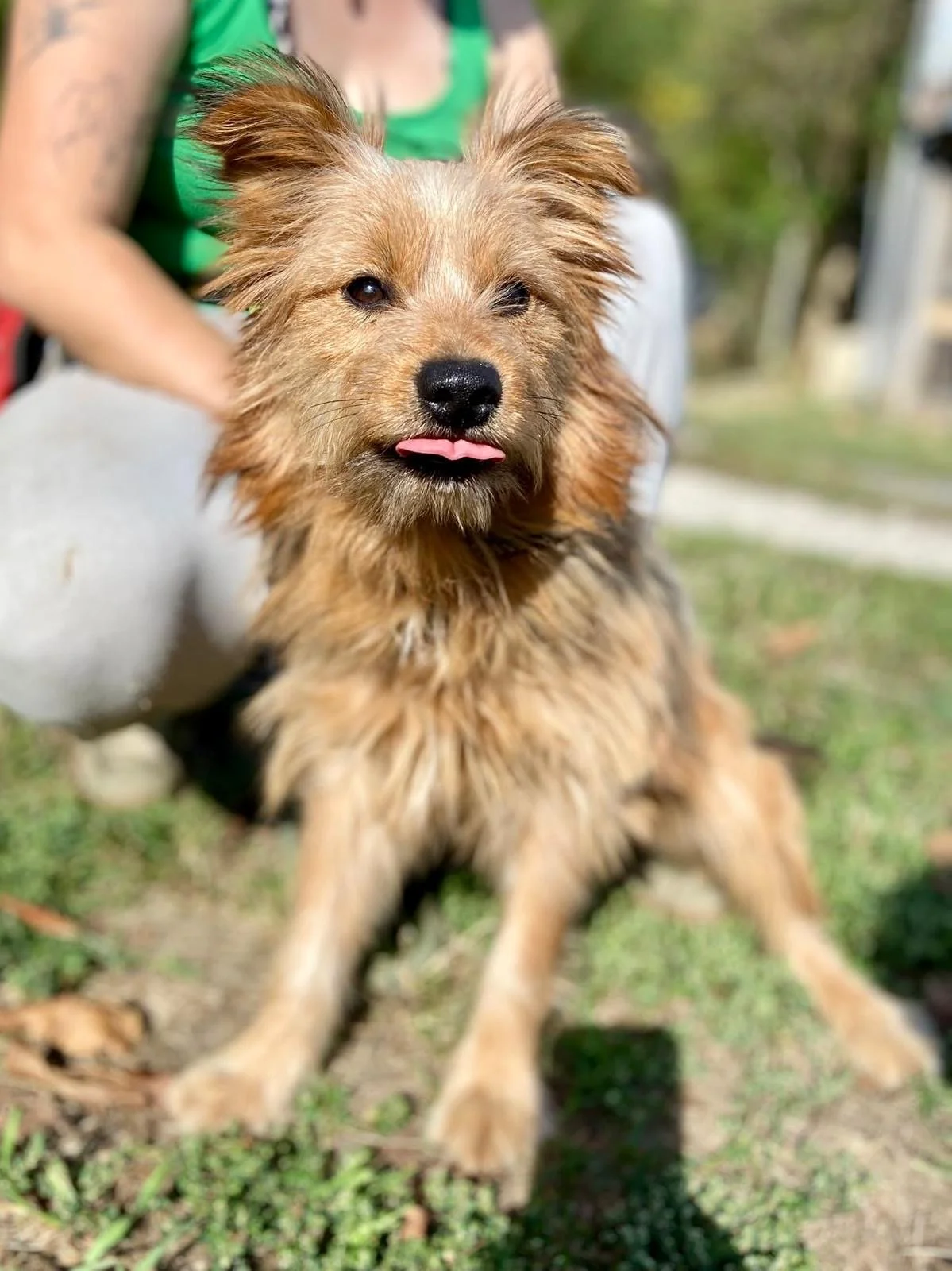 Fifik