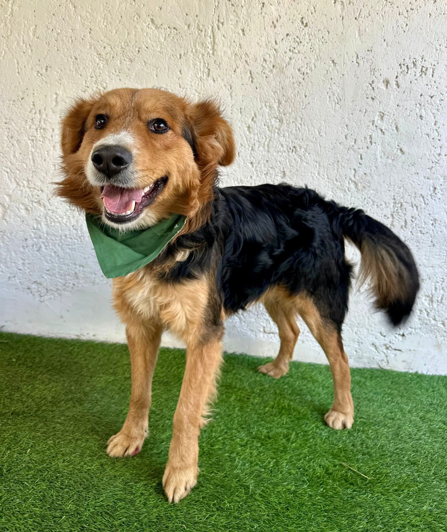 WhatsApp Image 2026-01-09 at 20.25.56.jpeg