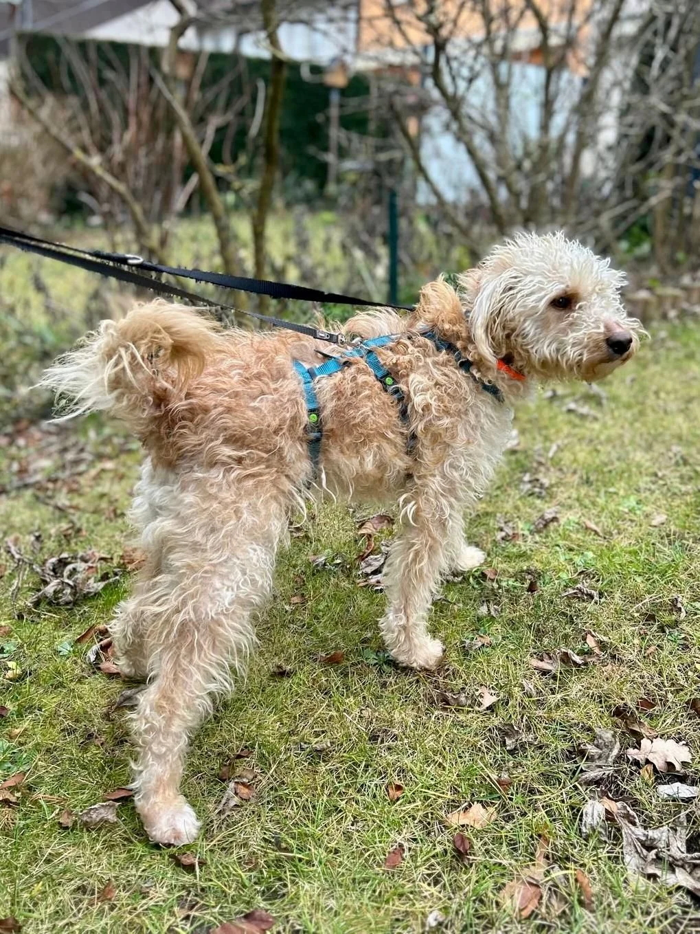 WhatsApp Image 2025-12-31 at 11.04.32 (2).jpeg