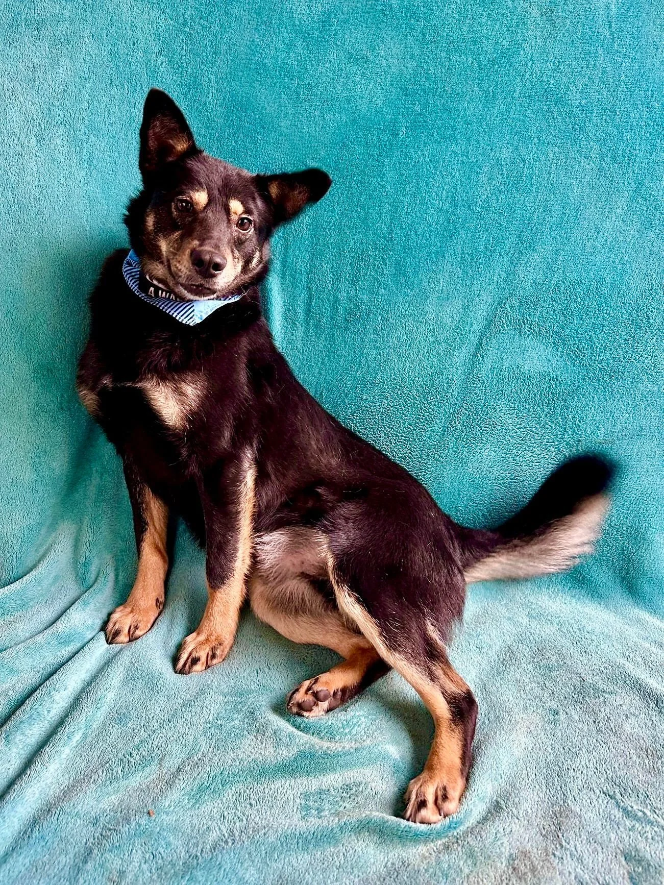 WhatsApp Image 2026-01-01 at 13.24.53 (3).jpeg