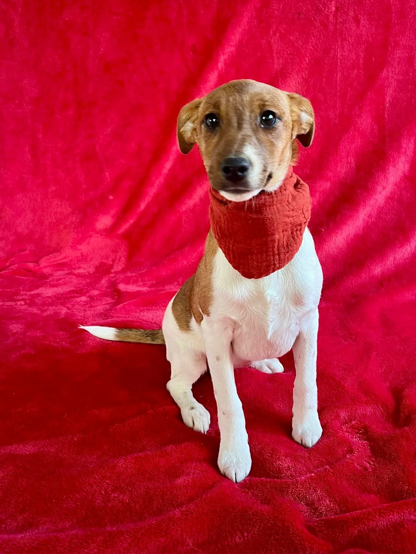 WhatsApp Image 2026-01-01 at 11.31.56 (1).jpeg