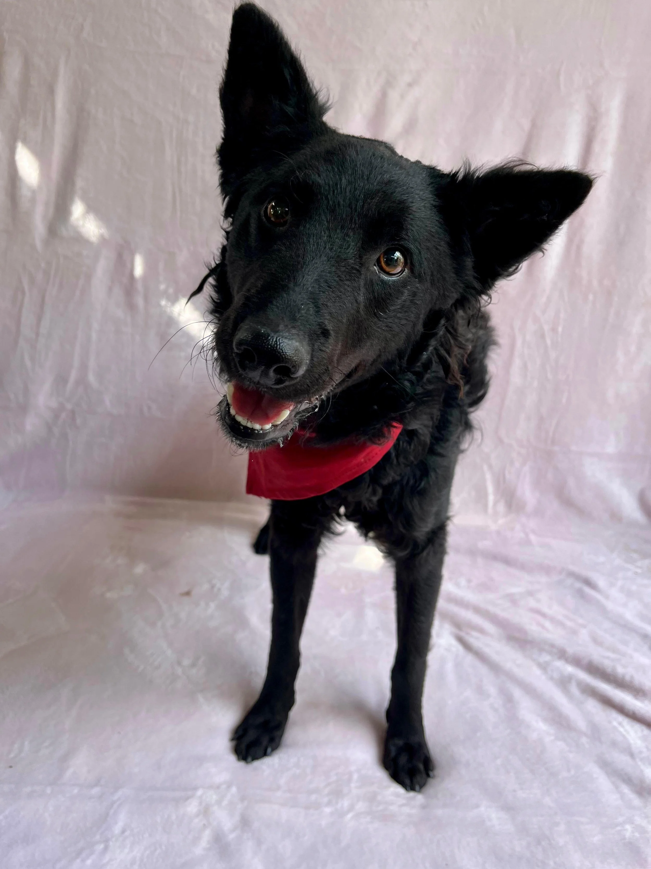 WhatsApp Image 2025-10-28 at 16.52.56.jpeg