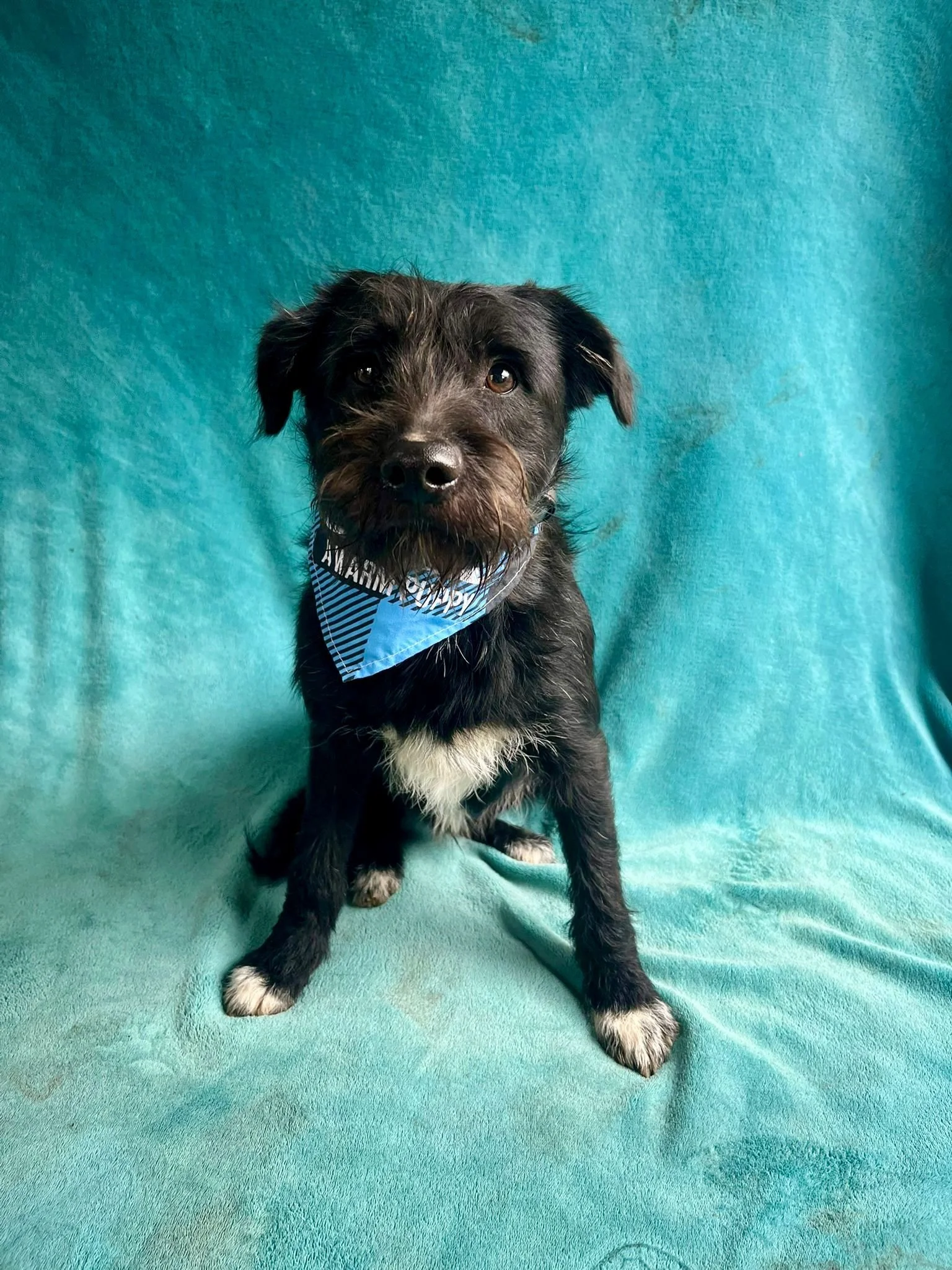 WhatsApp Image 2026-01-03 at 17.56.38 (1).jpeg