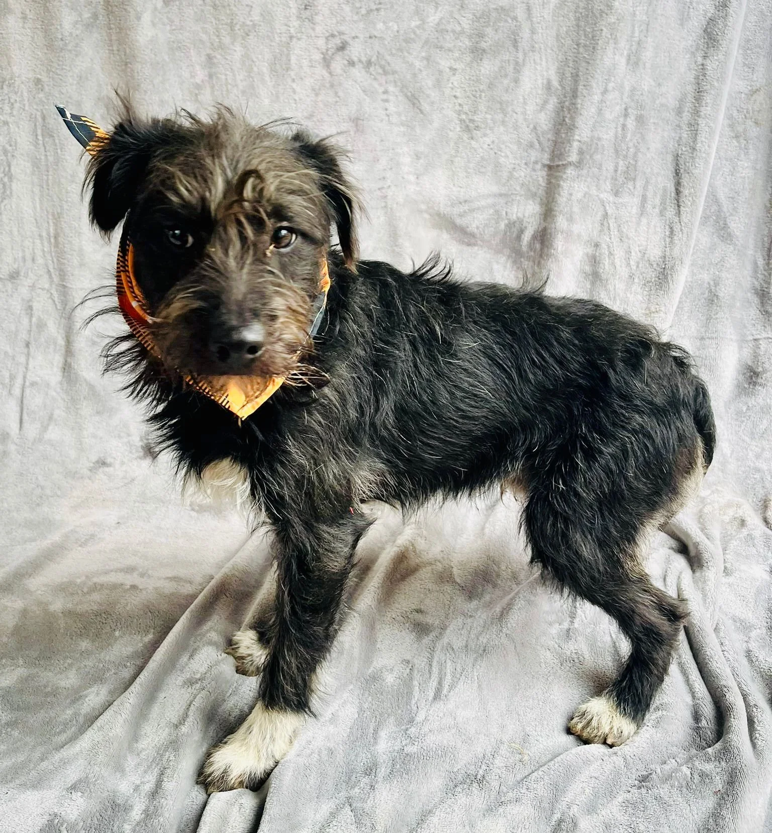 WhatsApp Image 2026-01-03 at 13.03.44 (1).jpeg