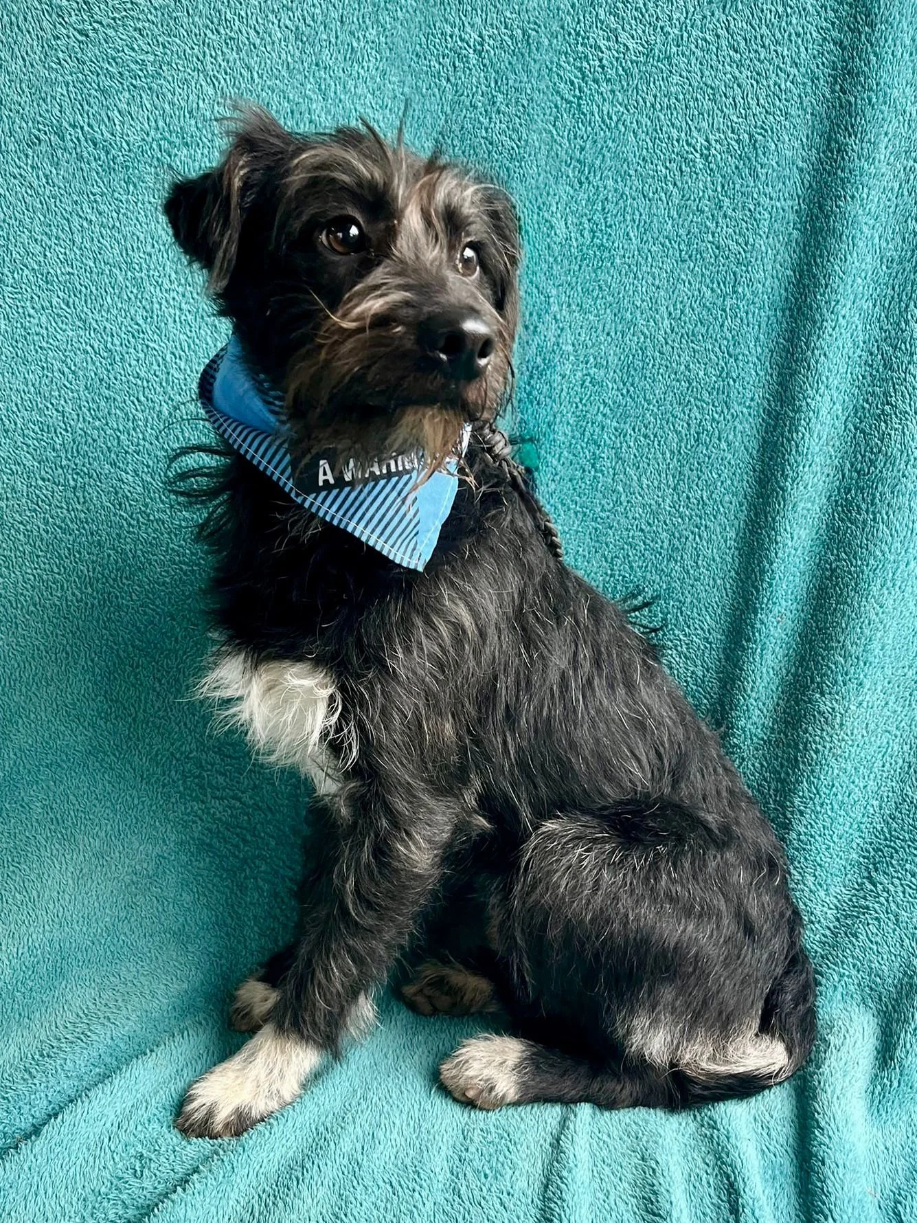 WhatsApp Image 2026-01-03 at 13.03.44.jpeg