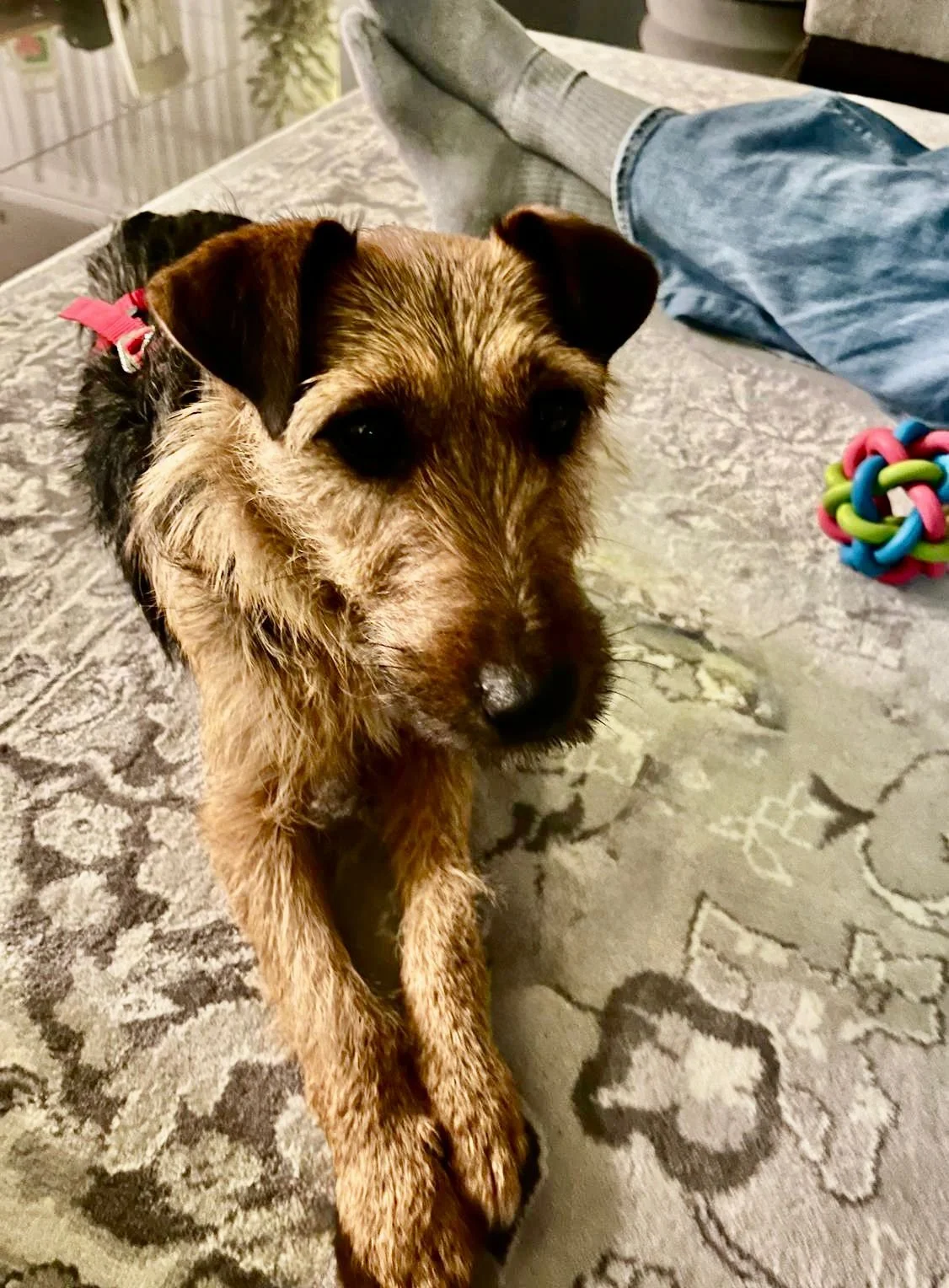 WhatsApp Image 2025-12-19 at 14.41.23 (1).jpeg