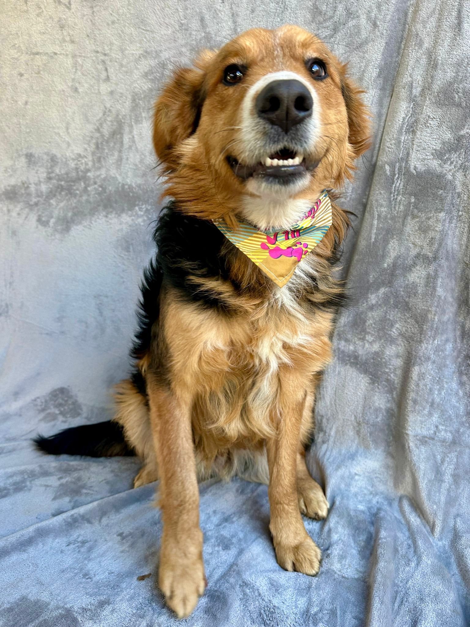 WhatsApp Image 2026-01-09 at 20.26.01.jpeg