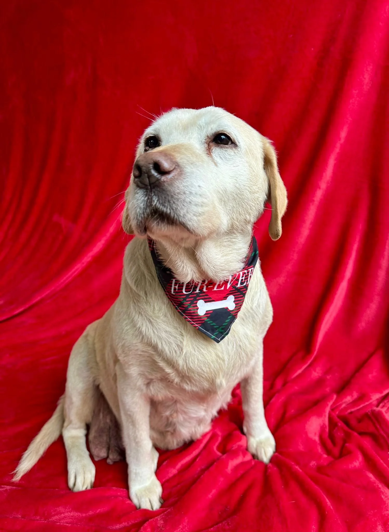 WhatsApp Image 2026-01-01 at 12.37.34 (2).jpeg