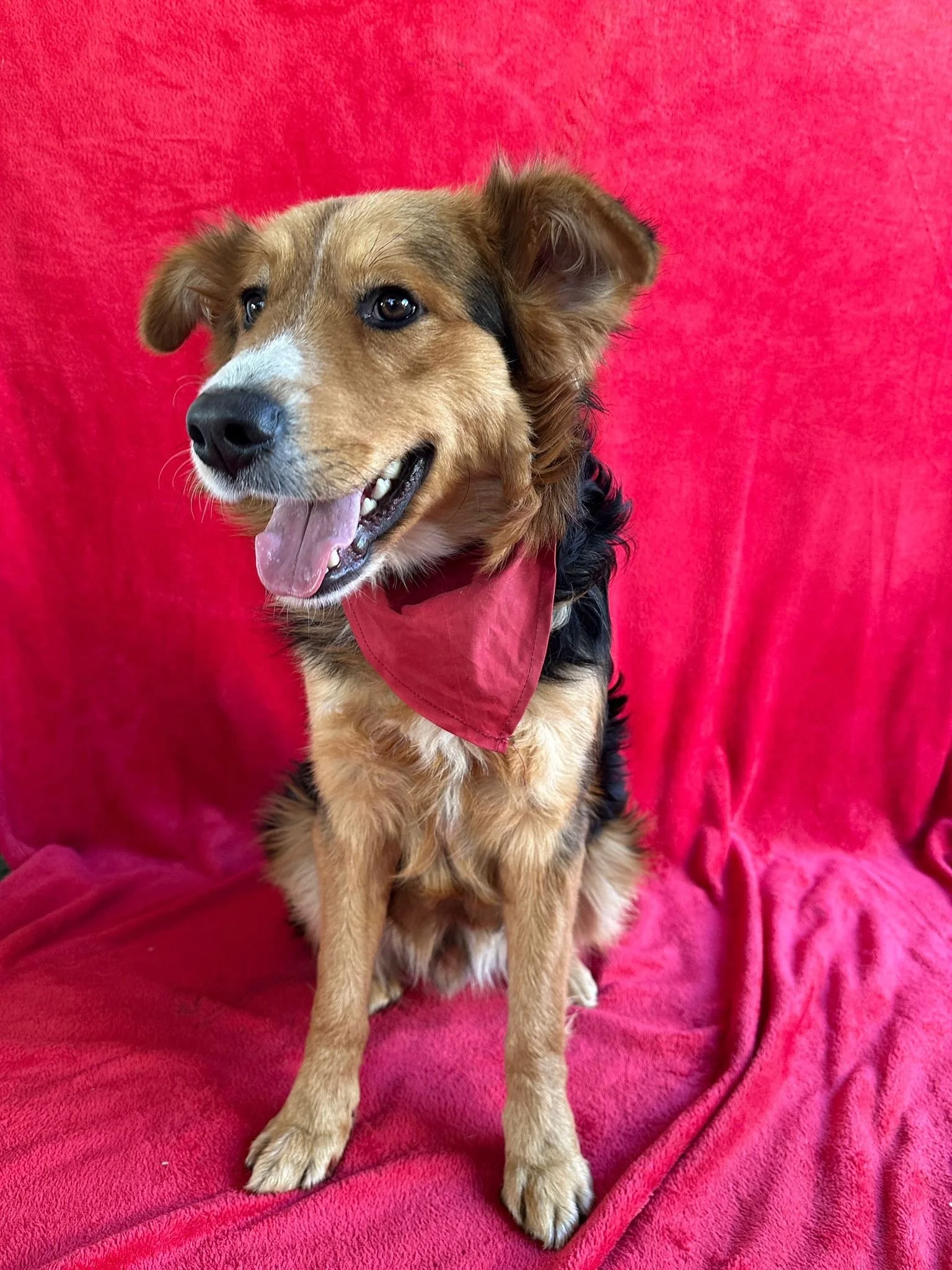 WhatsApp Image 2026-01-09 at 20.25.59 (4).jpeg