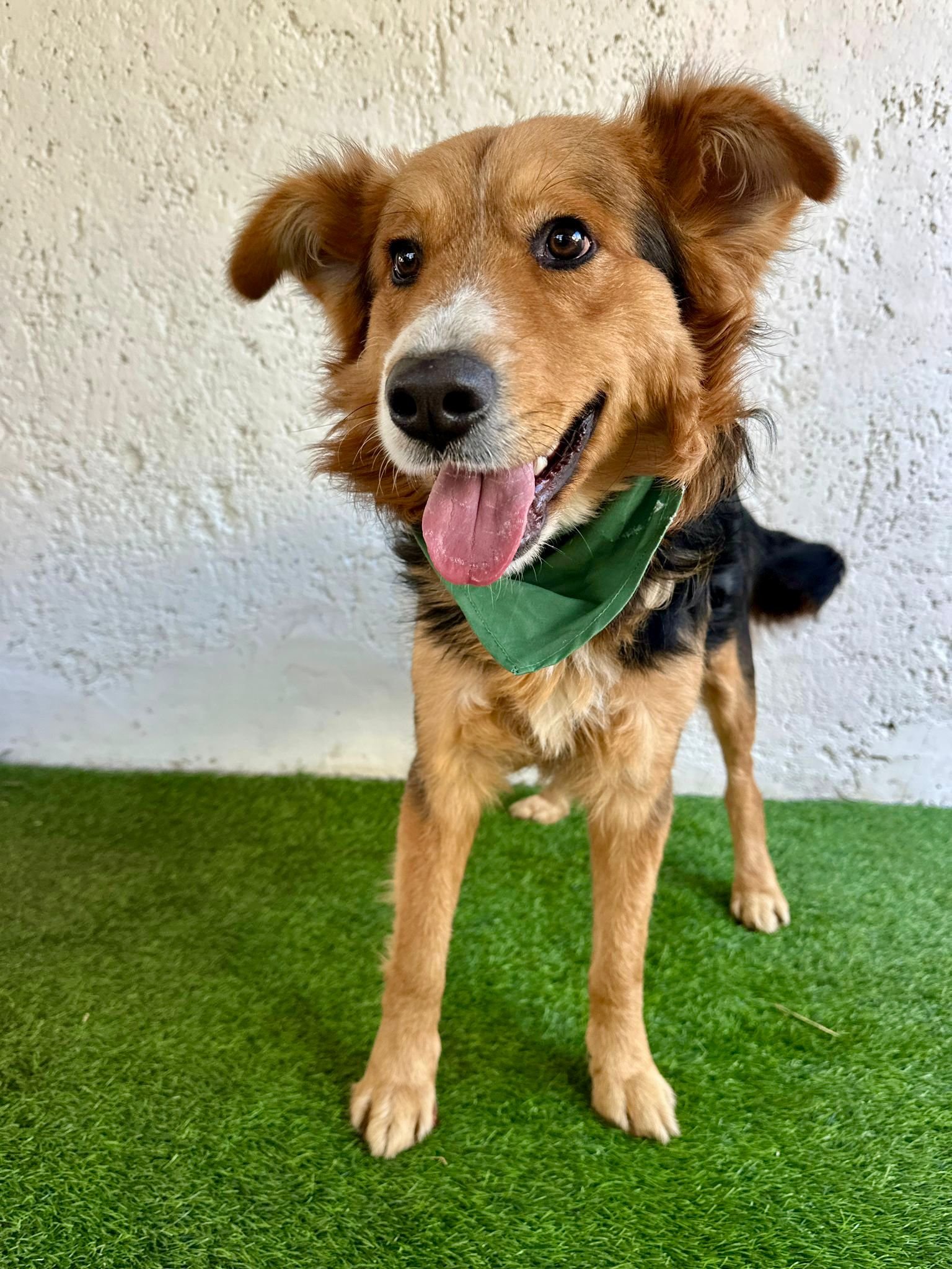 WhatsApp Image 2026-01-09 at 20.25.56 (2).jpeg