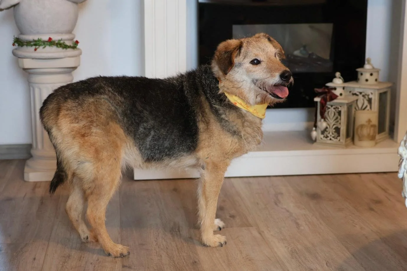 WhatsApp Image 2026-01-24 at 19.38.52 (2).jpeg