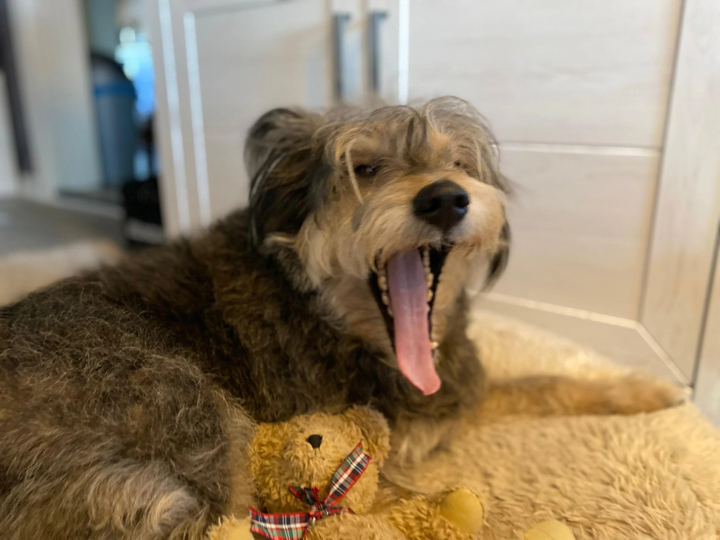 WhatsApp Image 2026-01-10 at 12.02.47 (1).jpeg