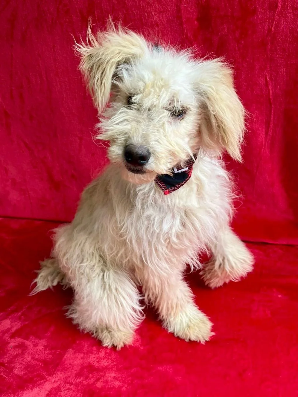 WhatsApp Image 2025-10-31 at 10.04.33.jpeg