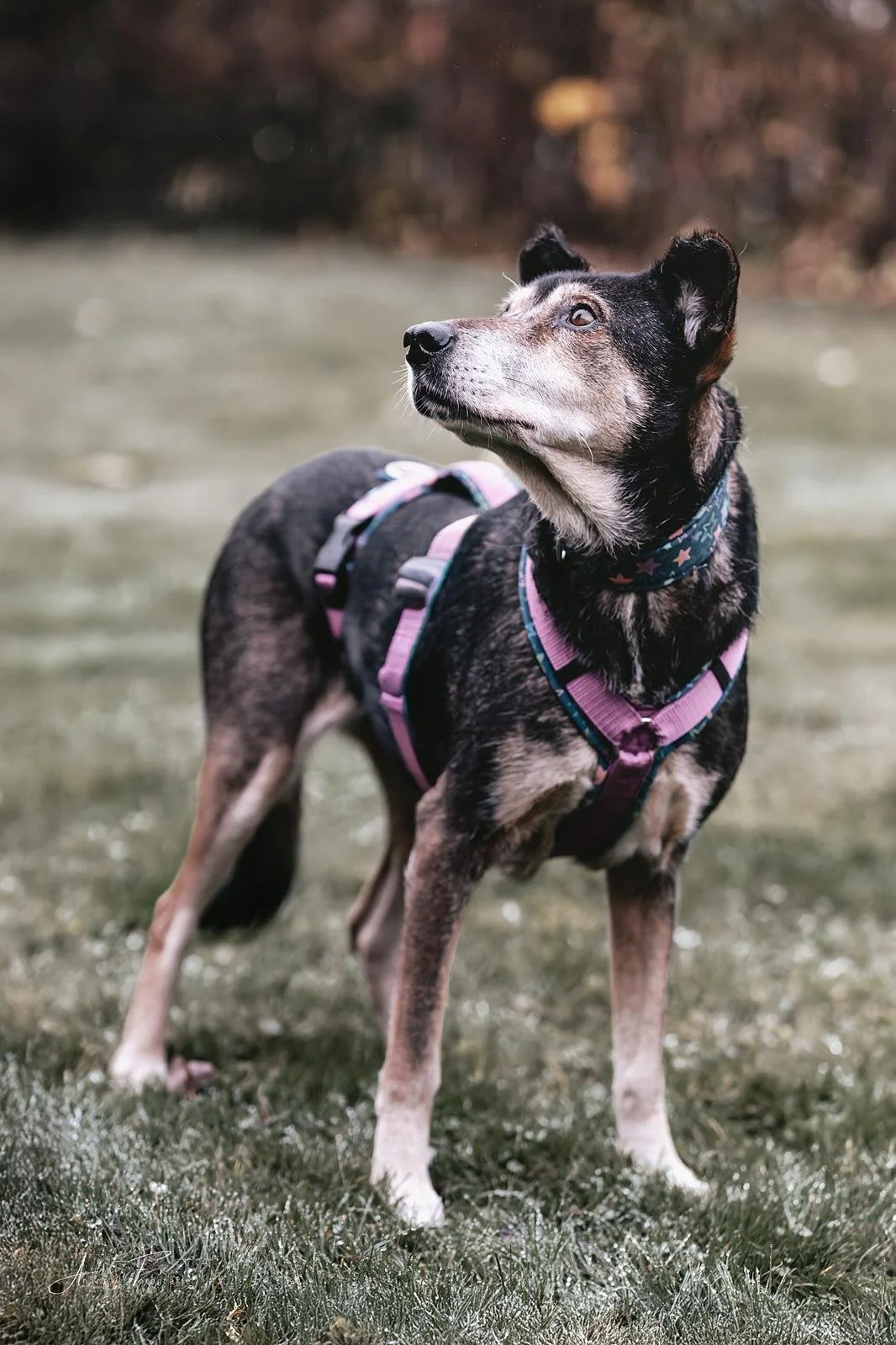 WhatsApp Image 2025-12-13 at 16.28.26 (1).jpeg