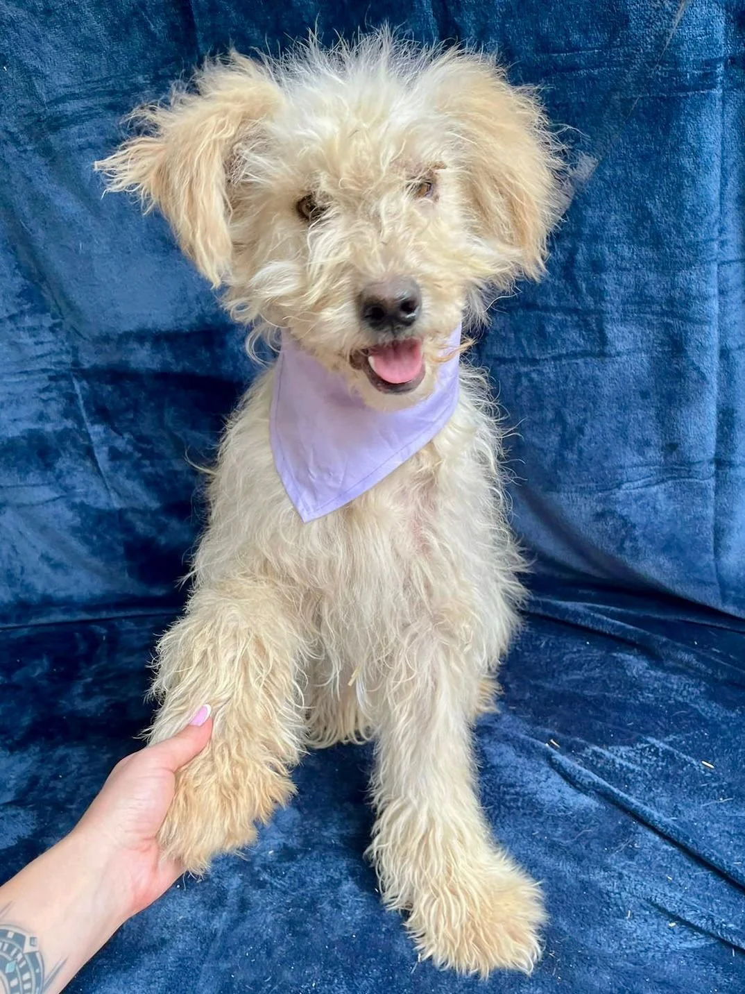 WhatsApp Image 2025-10-31 at 10.04.27 (1).jpeg