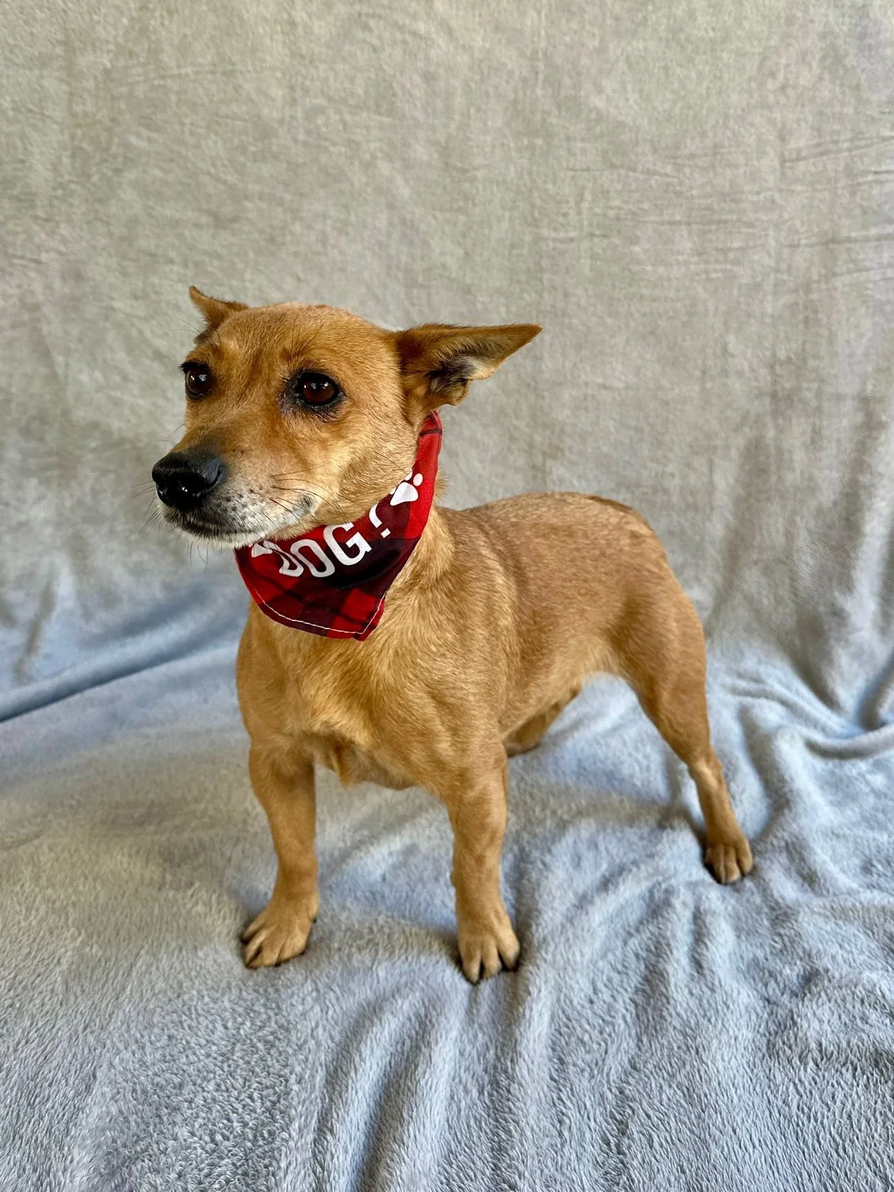 WhatsApp Image 2026-01-01 at 11.59.01.jpeg