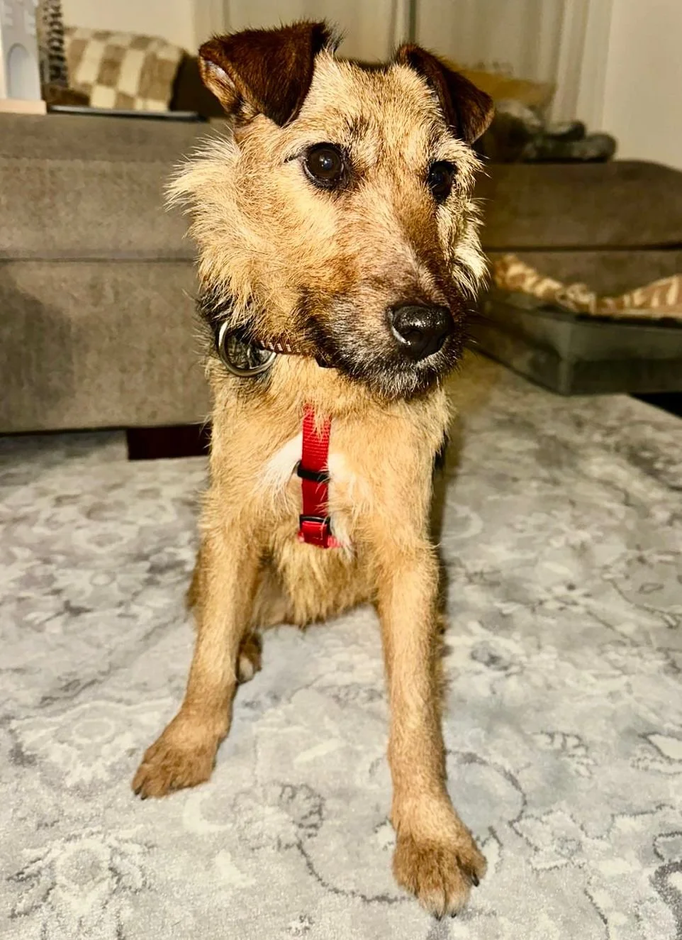 WhatsApp Image 2025-12-19 at 14.41.20.jpeg