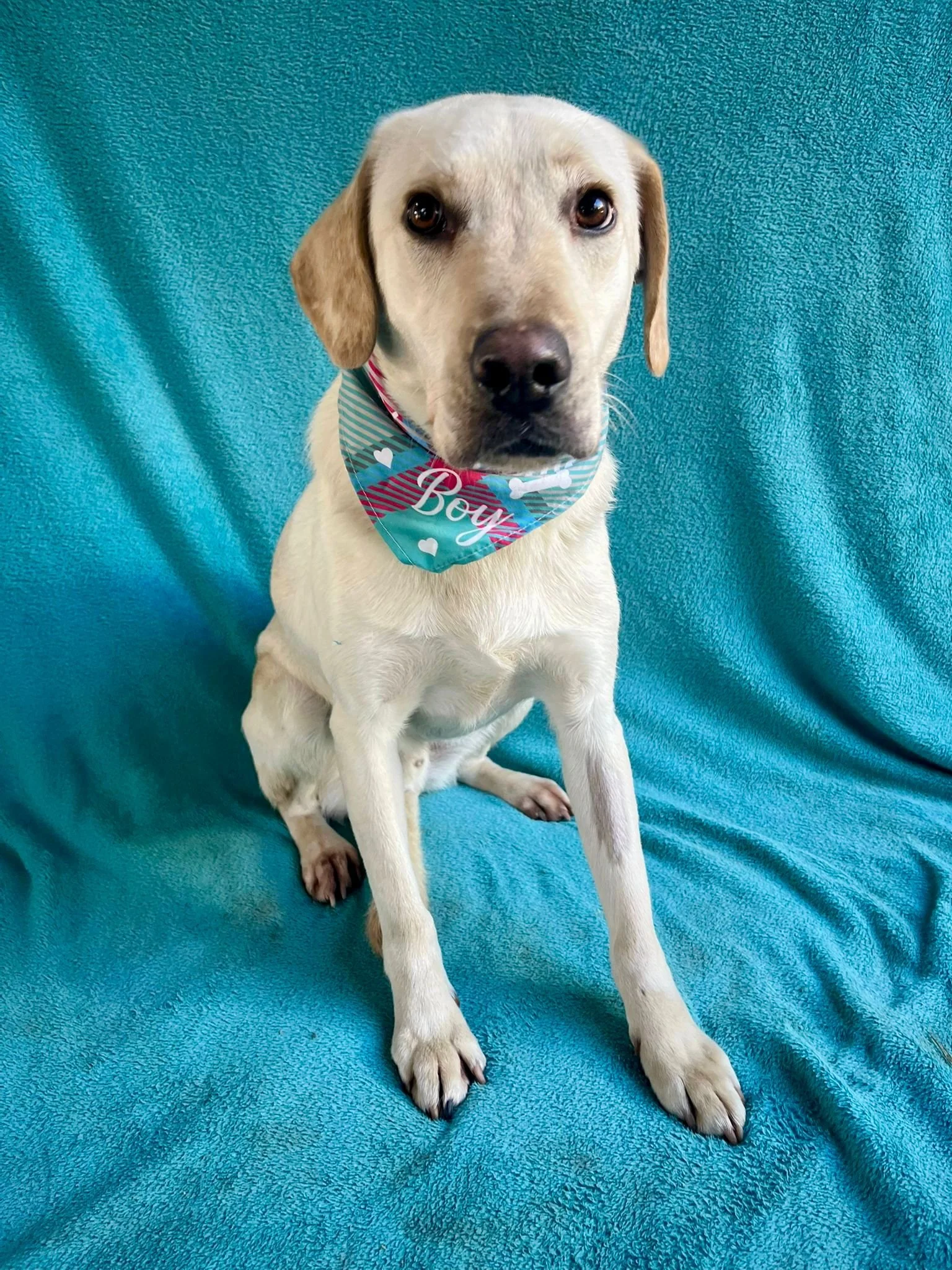 WhatsApp Image 2026-01-01 at 19.16.35 (1).jpeg