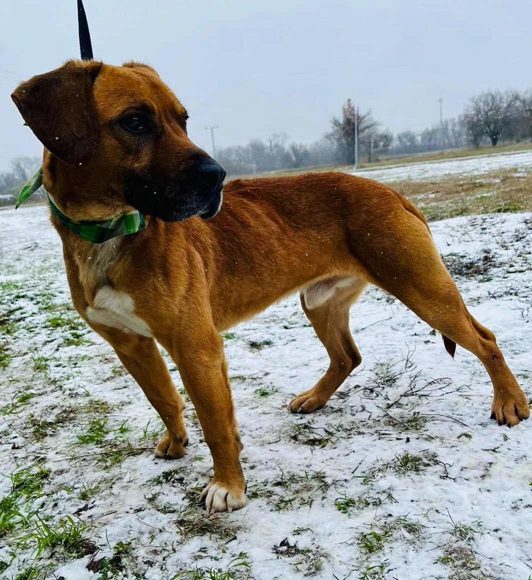 WhatsApp Image 2026-01-10 at 15.07.53 (2).jpeg