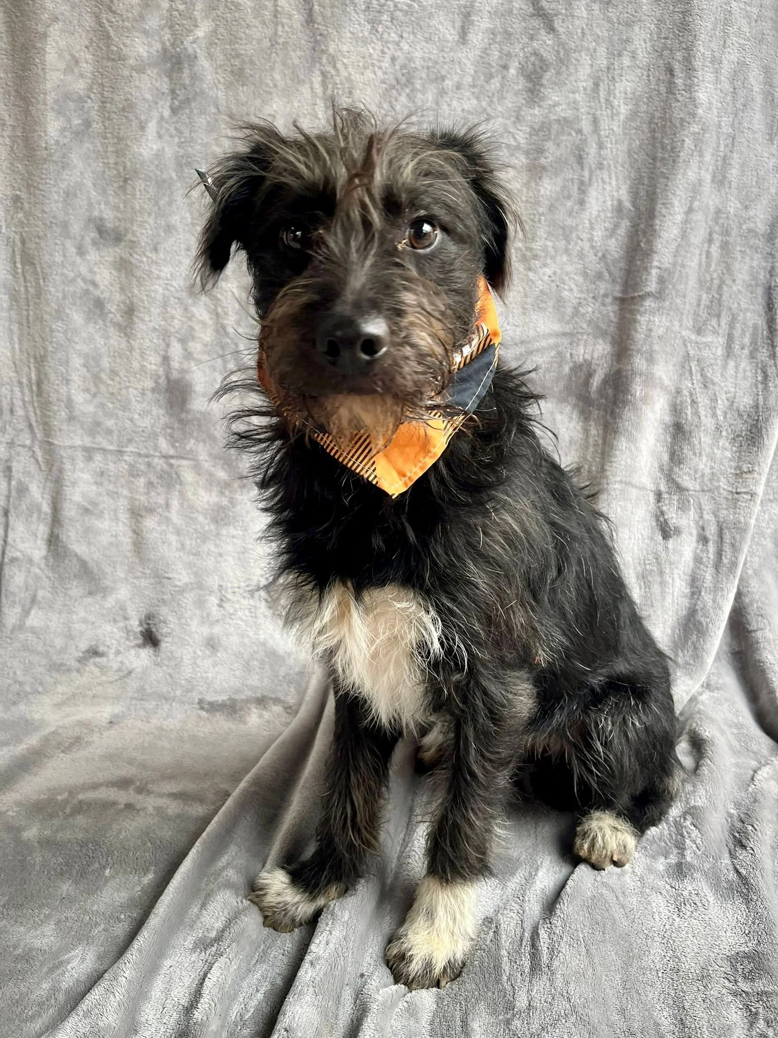 WhatsApp Image 2026-01-03 at 13.03.42.jpeg