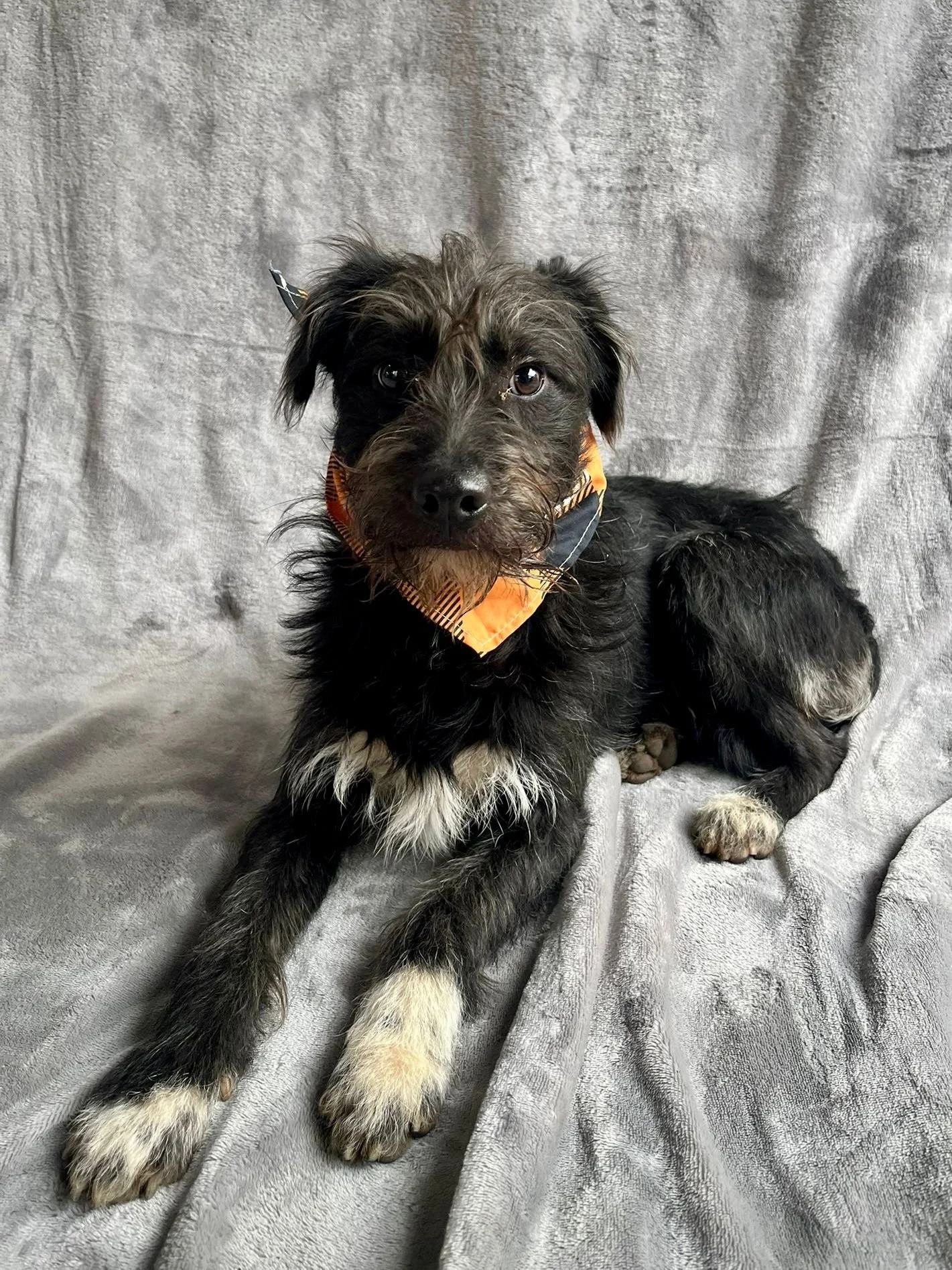 WhatsApp Image 2026-01-03 at 13.03.42 (3).jpeg