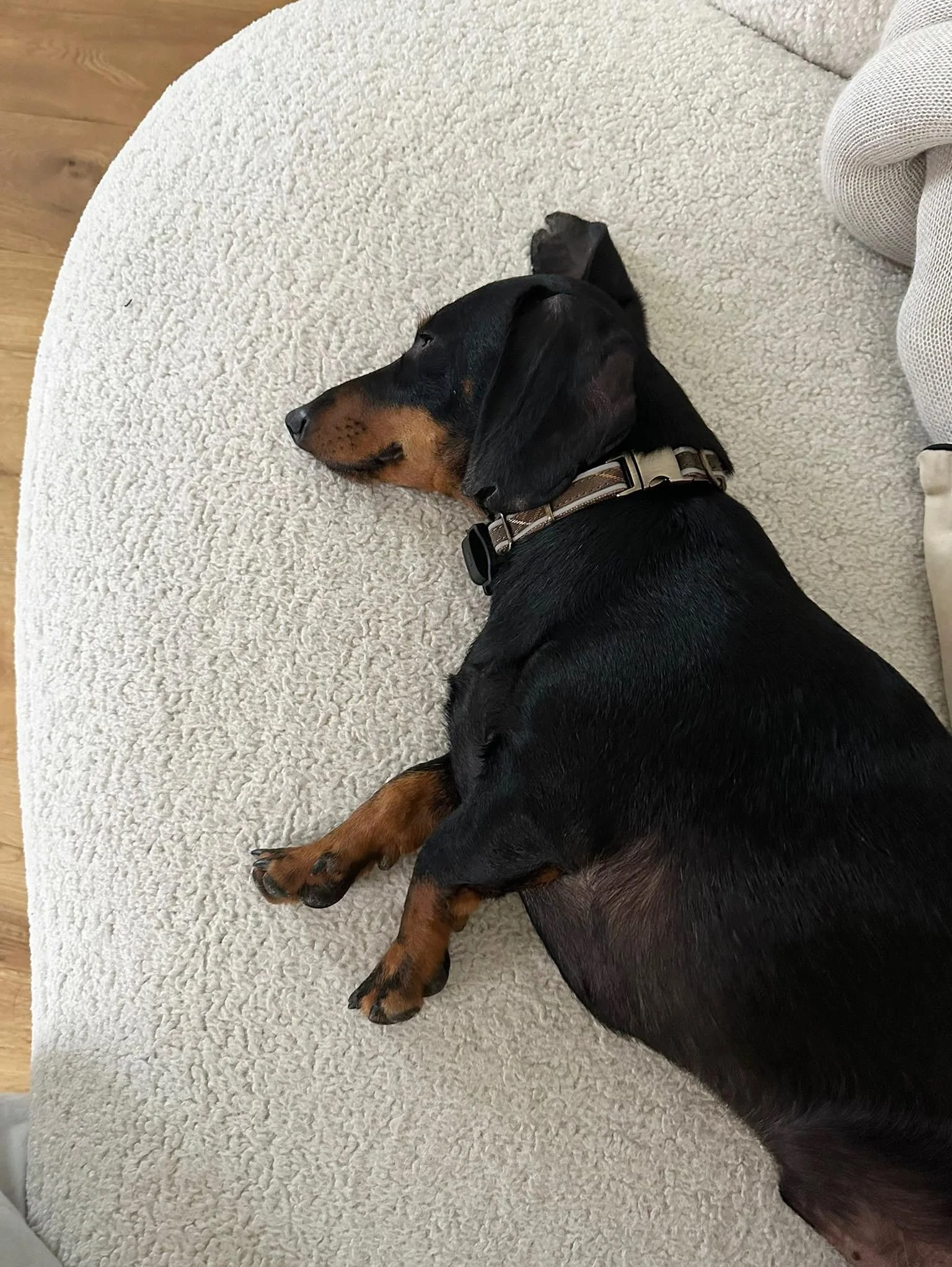 WhatsApp Image 2025-11-17 at 10.34.36.jpeg