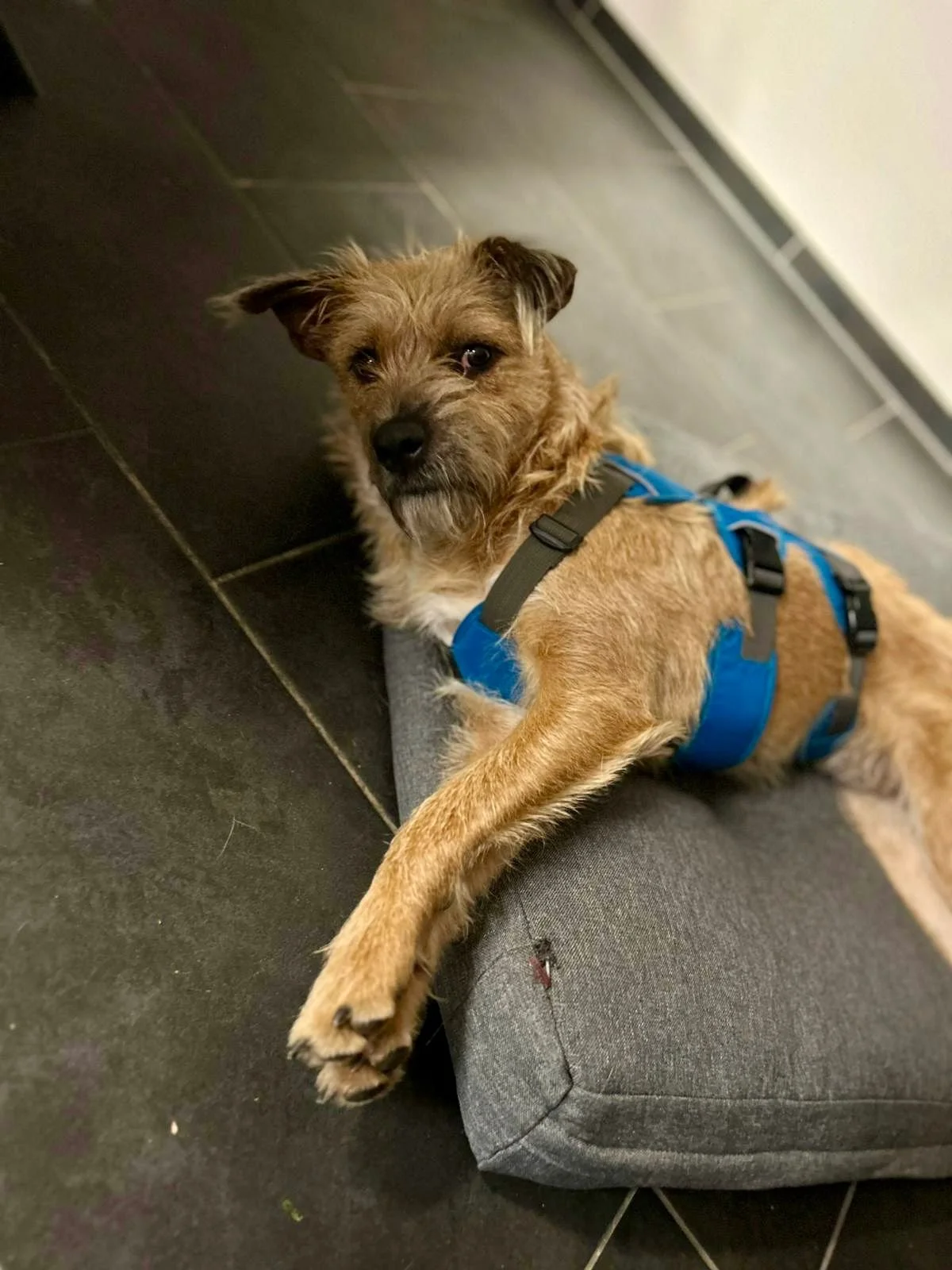 WhatsApp Image 2025-11-19 at 17.16.48 (1).jpeg