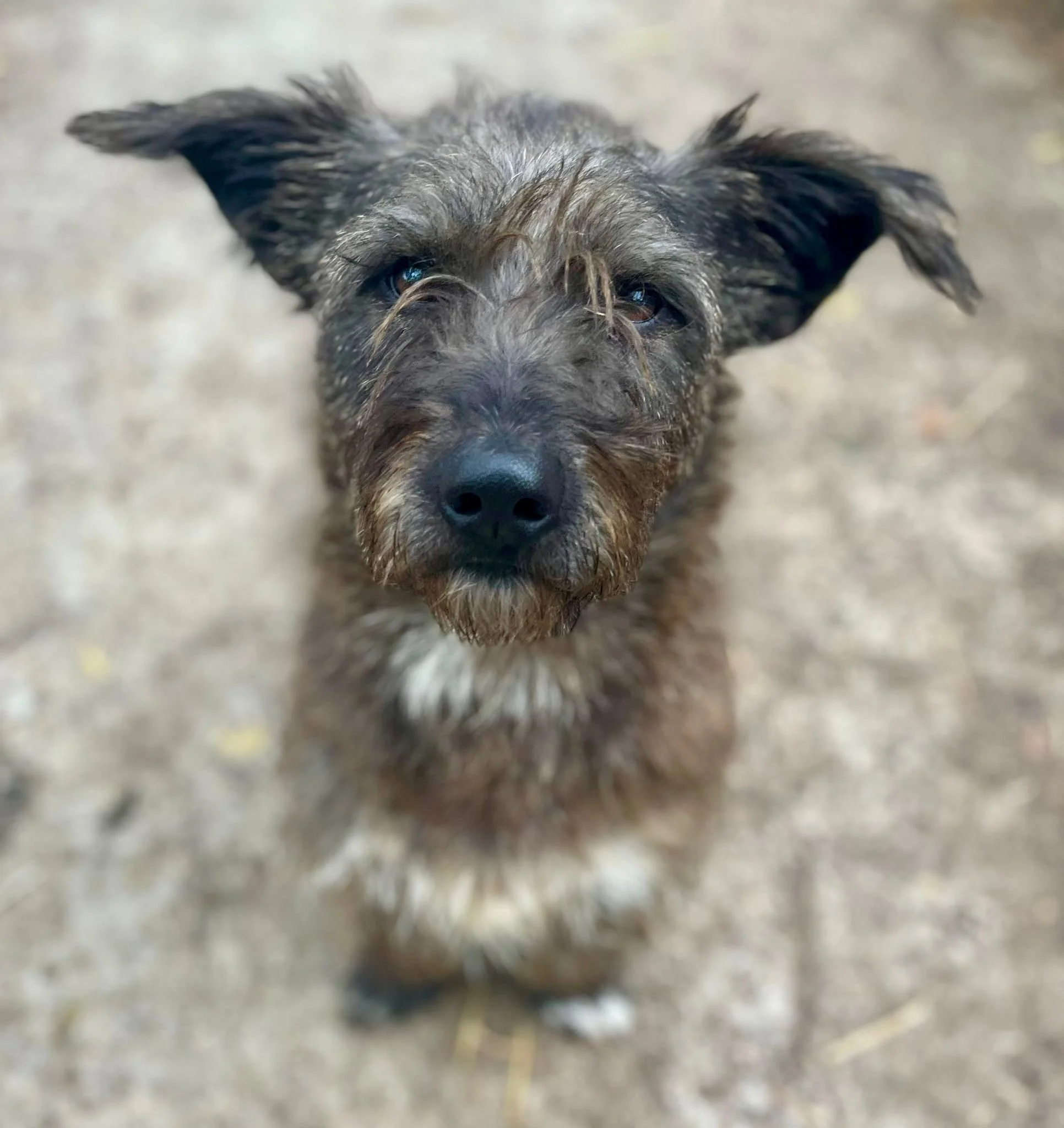 WhatsApp Image 2025-10-31 at 22.06.11 (1).jpeg