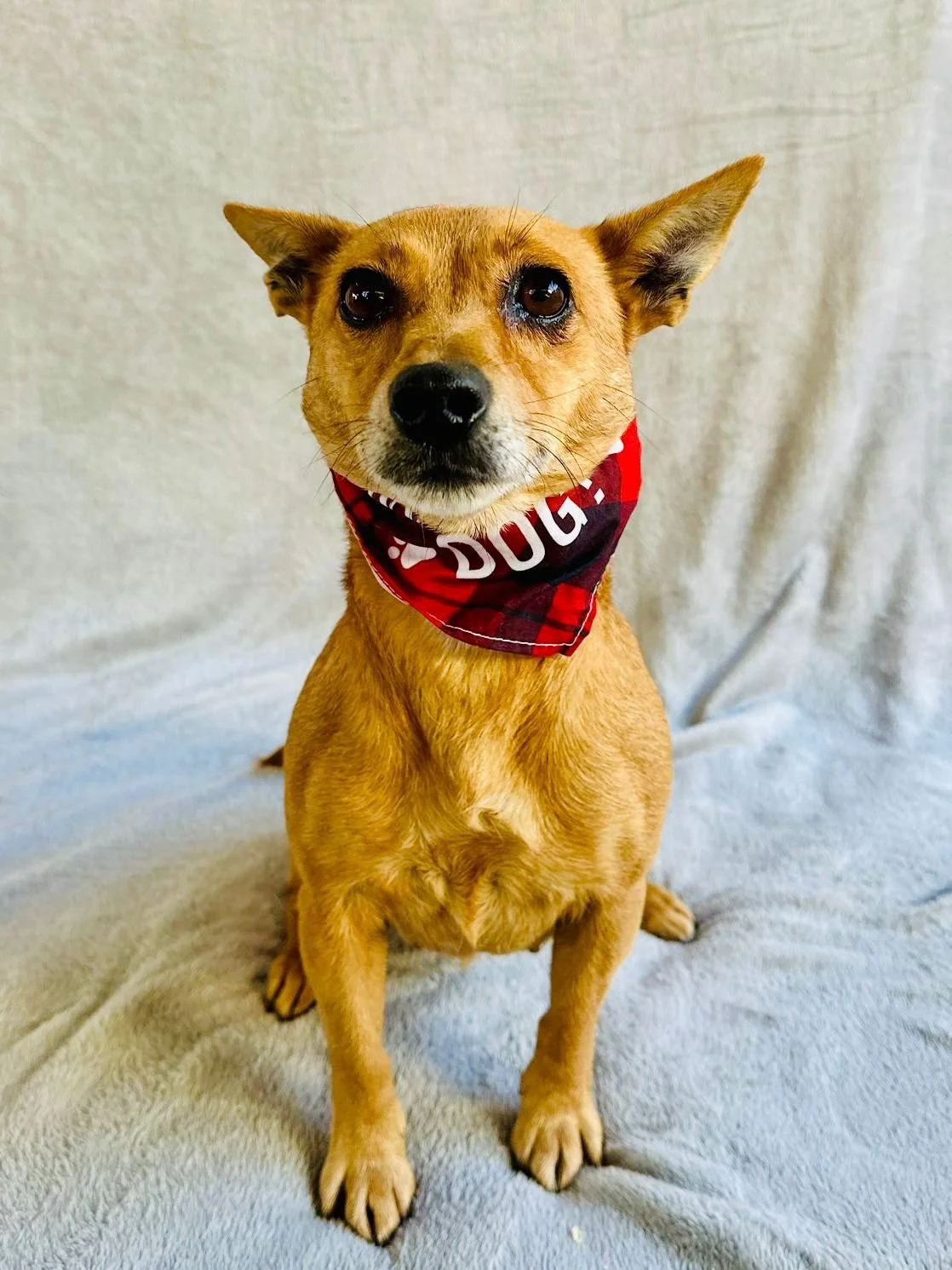 WhatsApp Image 2026-01-01 at 11.58.58 (1).jpeg