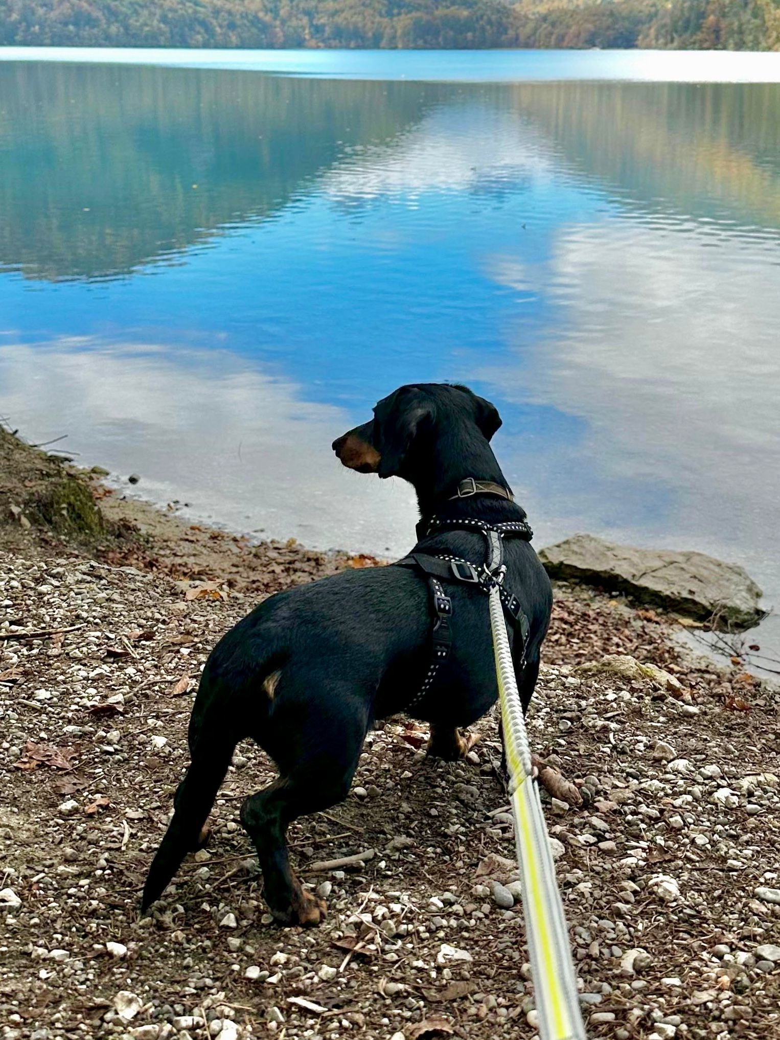 WhatsApp Image 2025-11-17 at 10.34.40 (2).jpeg