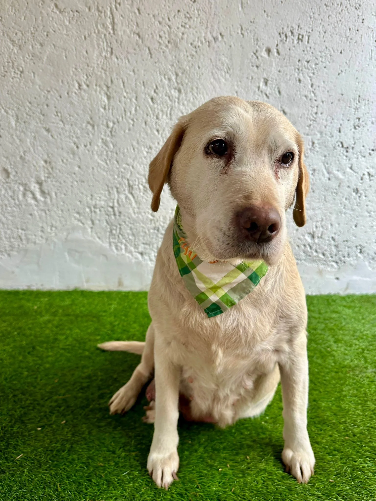 WhatsApp Image 2026-01-01 at 12.37.31 (2).jpeg