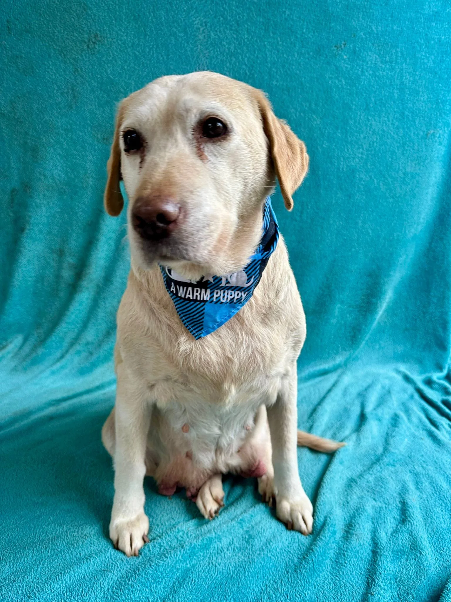 WhatsApp Image 2026-01-01 at 12.37.33 (1).jpeg