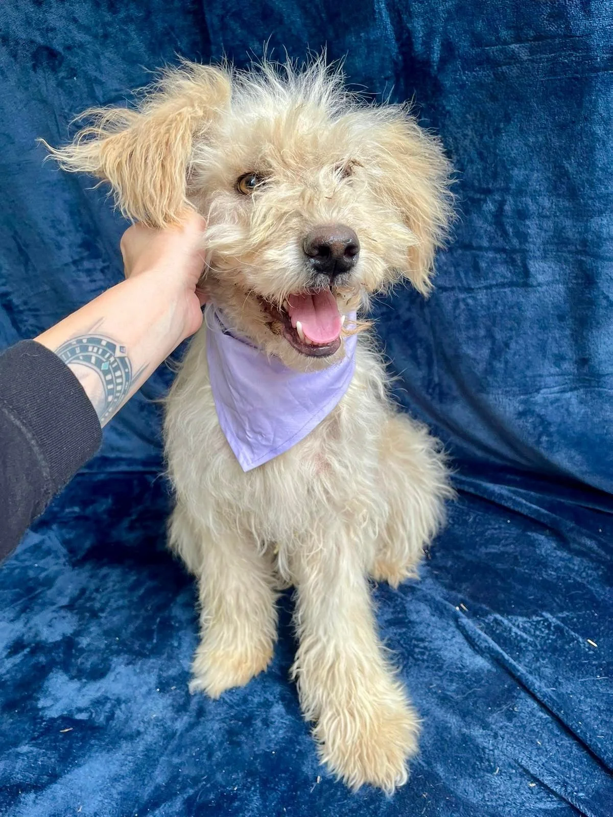 WhatsApp Image 2025-10-31 at 10.04.30.jpeg