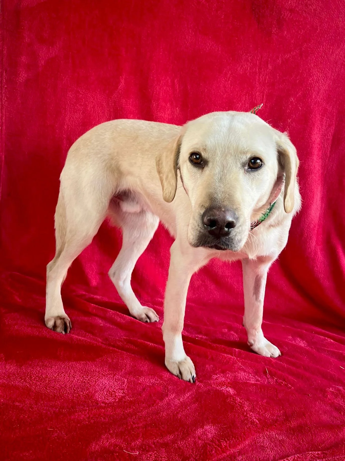 WhatsApp Image 2026-01-01 at 19.16.35 (2).jpeg