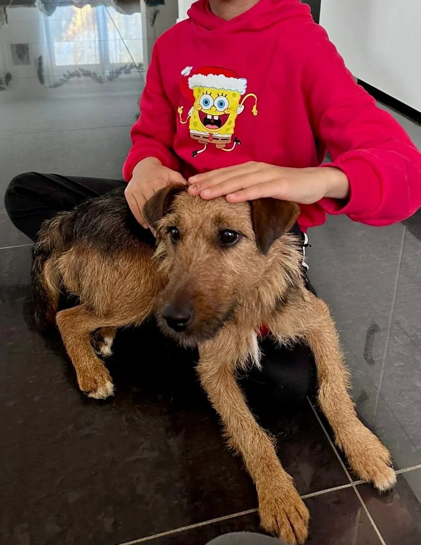 WhatsApp Image 2025-12-19 at 14.41.25.jpeg