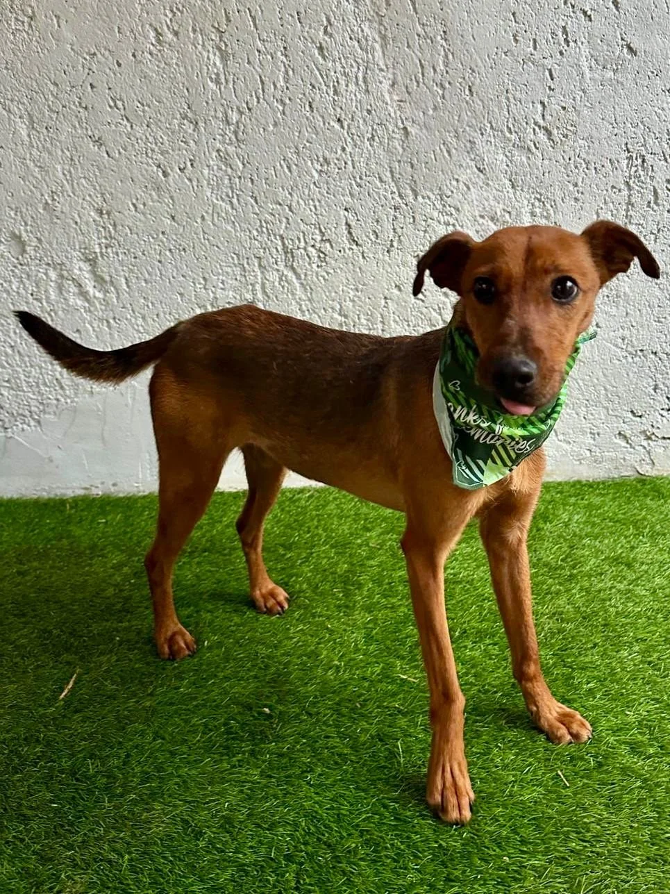 WhatsApp Image 2026-01-03 at 11.24.27 (2).jpeg