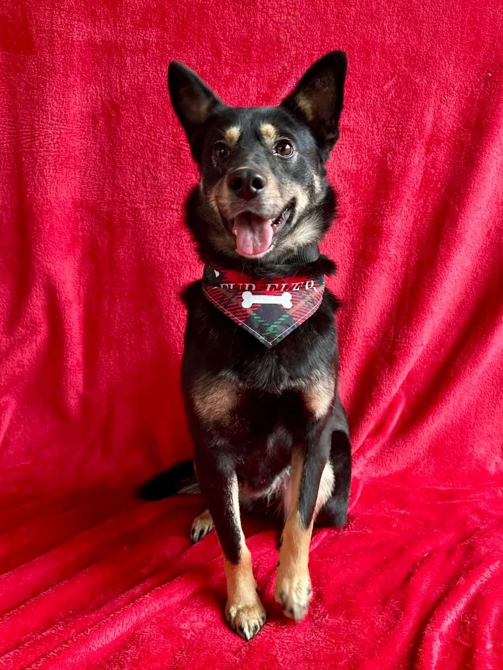 WhatsApp Image 2026-01-01 at 13.24.54 (1).jpeg