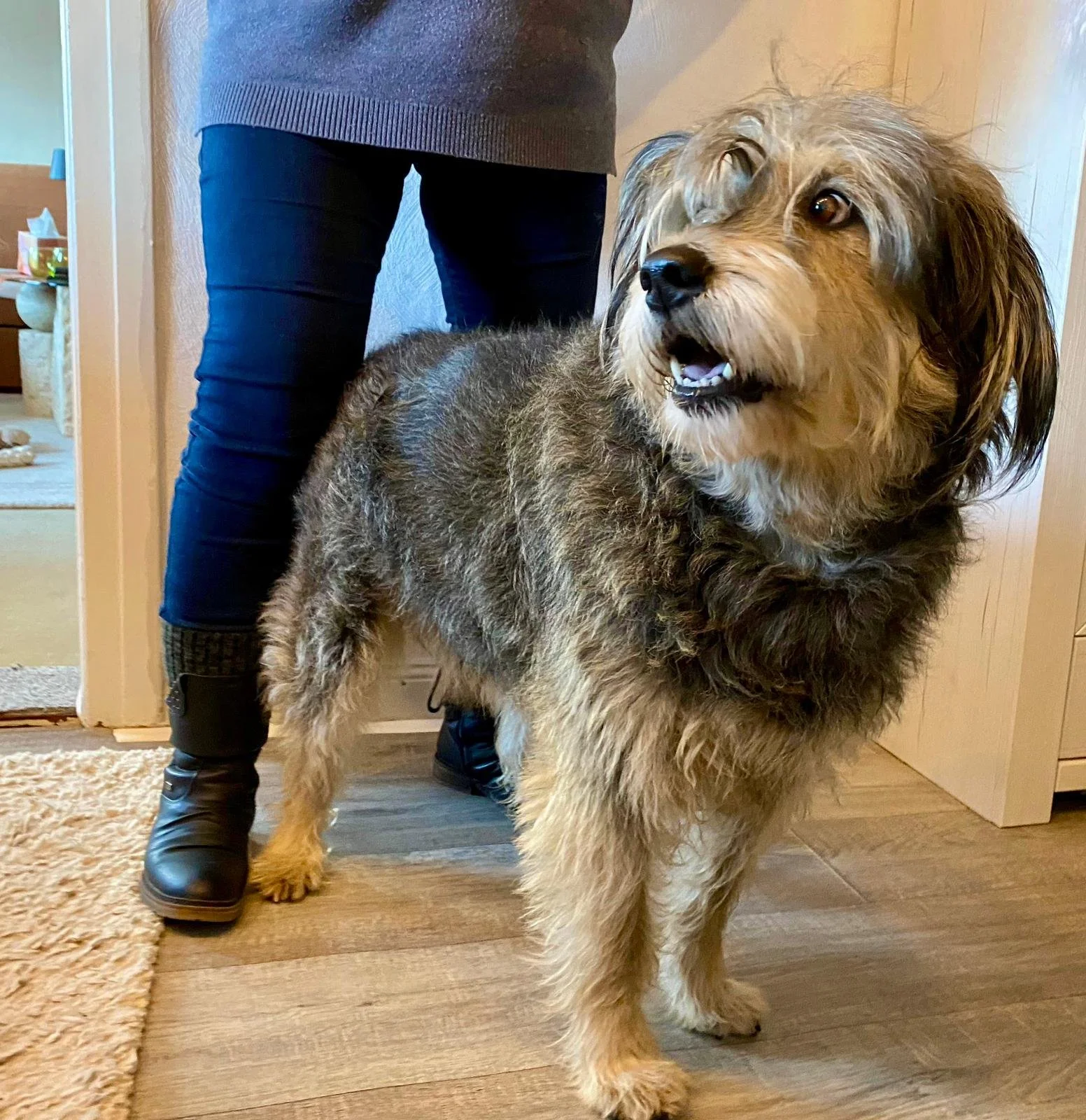 WhatsApp Image 2026-01-10 at 12.02.51 (1).jpeg