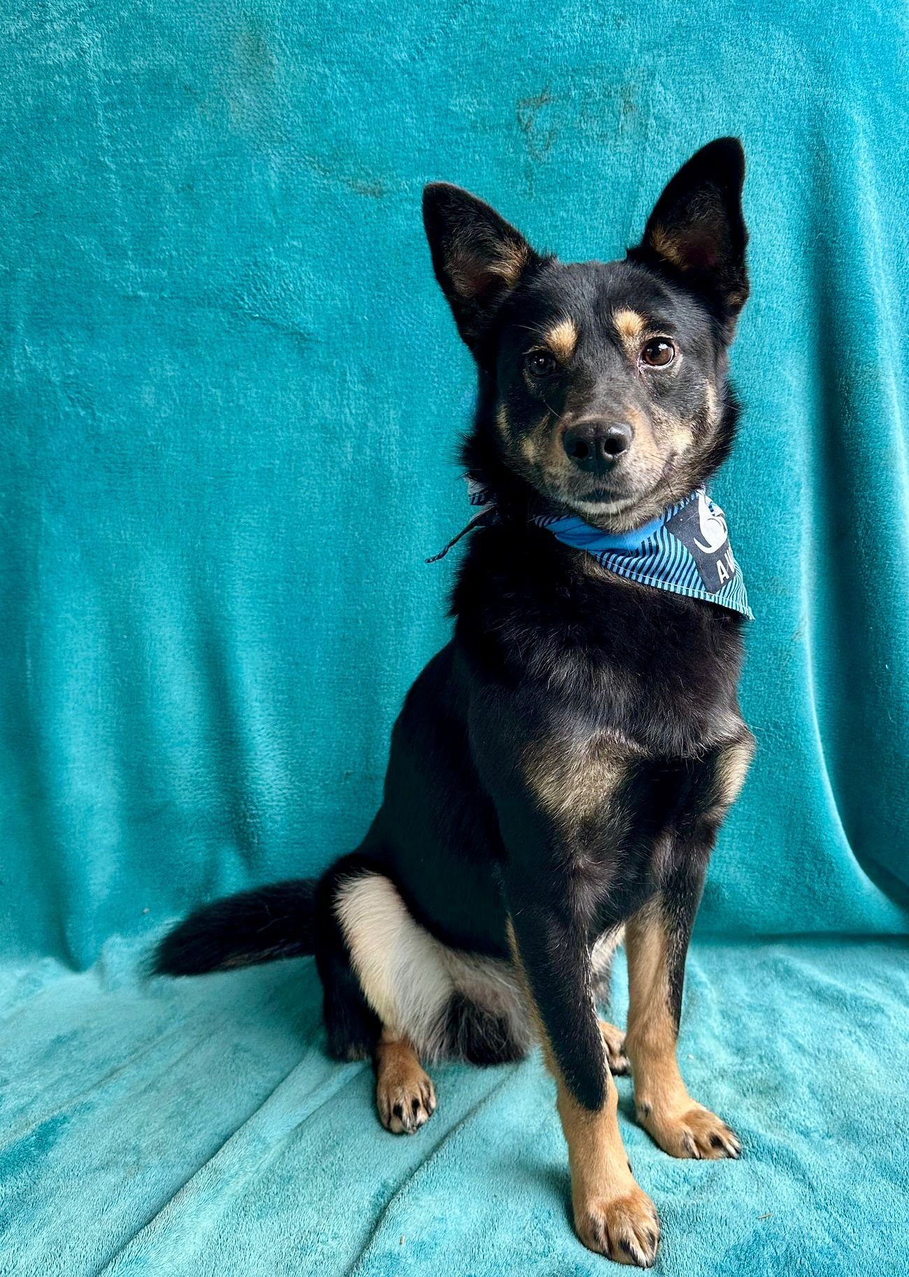 WhatsApp Image 2026-01-01 at 13.24.54.jpeg