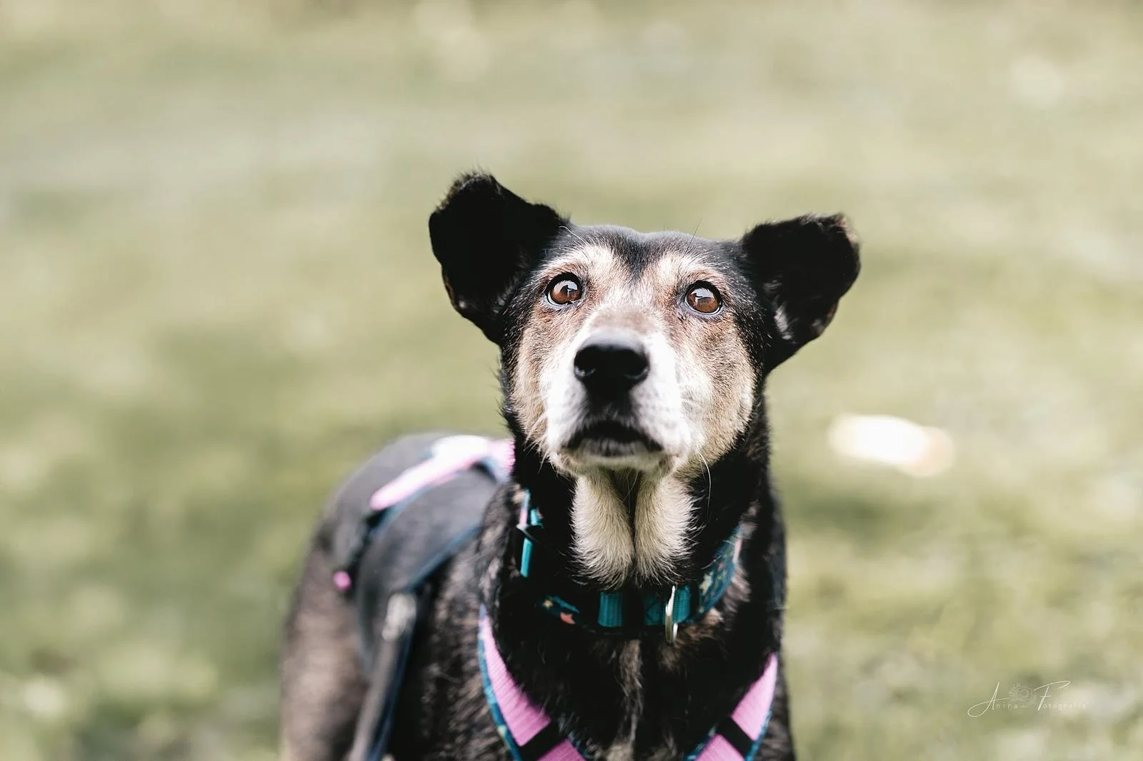 WhatsApp Image 2025-12-13 at 16.28.26 (3).jpeg