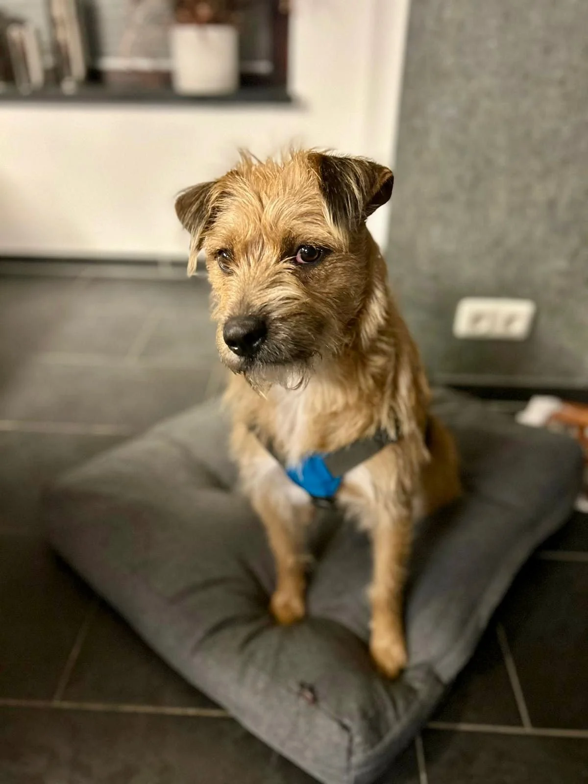 WhatsApp Image 2025-11-19 at 17.16.48 (2).jpeg