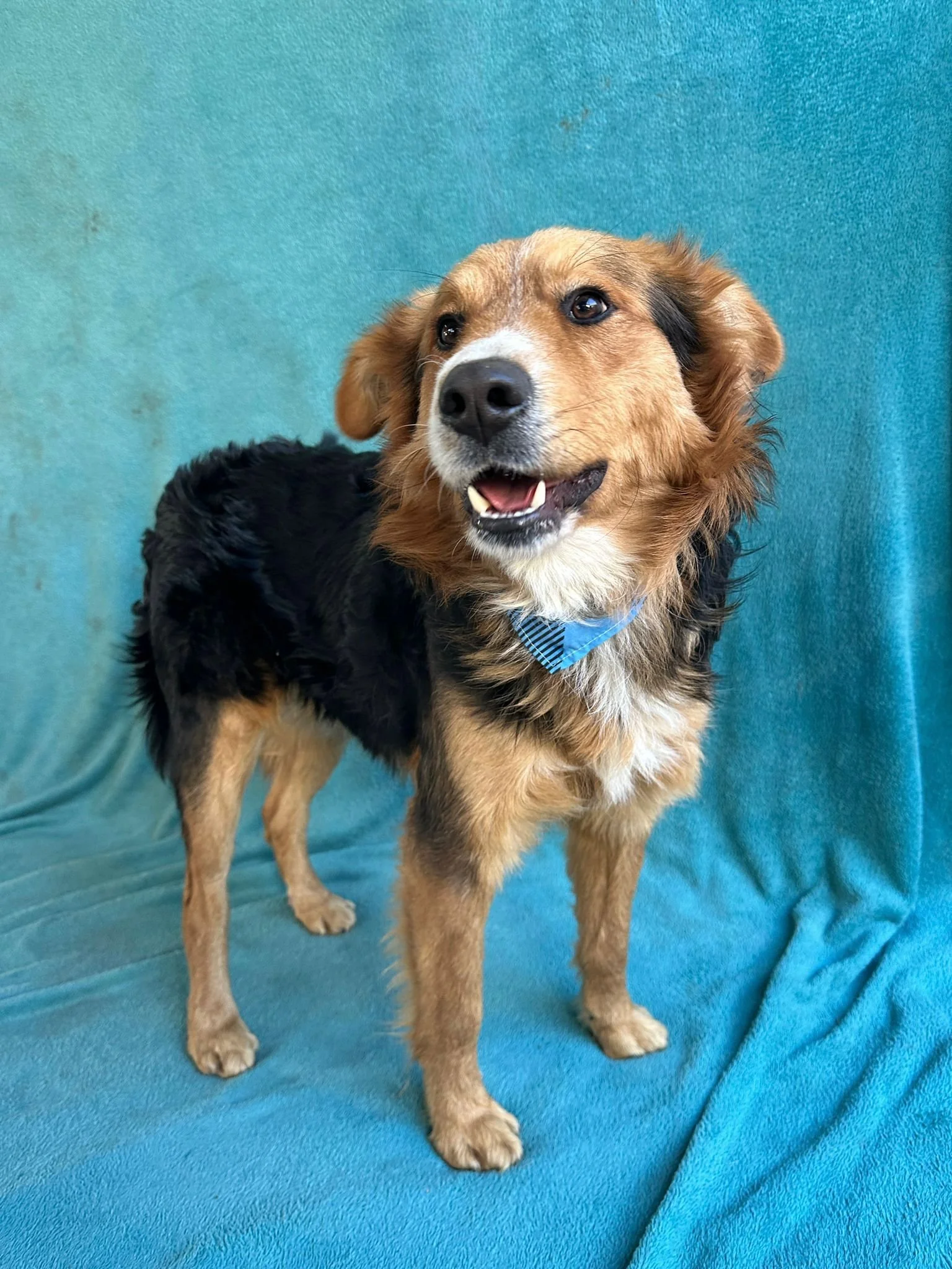 WhatsApp Image 2026-01-09 at 20.25.58.jpeg