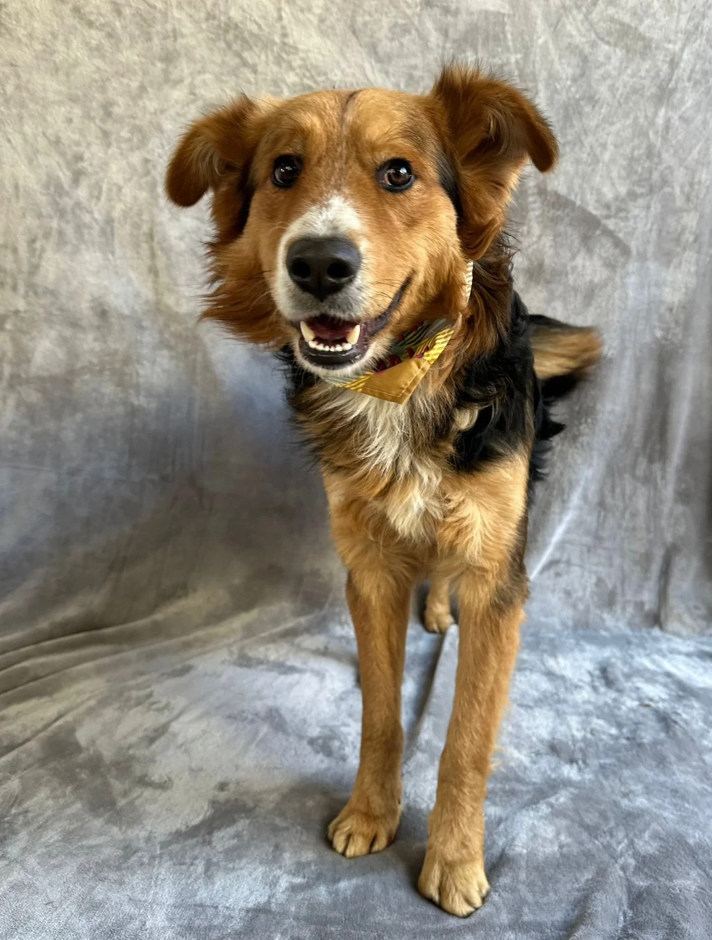 WhatsApp Image 2026-01-09 at 20.26.00.jpeg