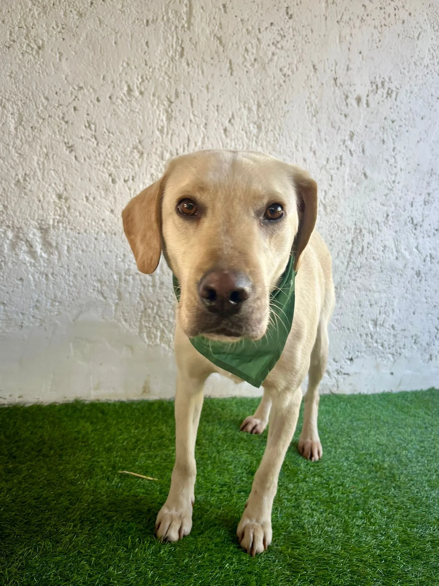 WhatsApp Image 2026-01-01 at 19.16.34 (1).jpeg