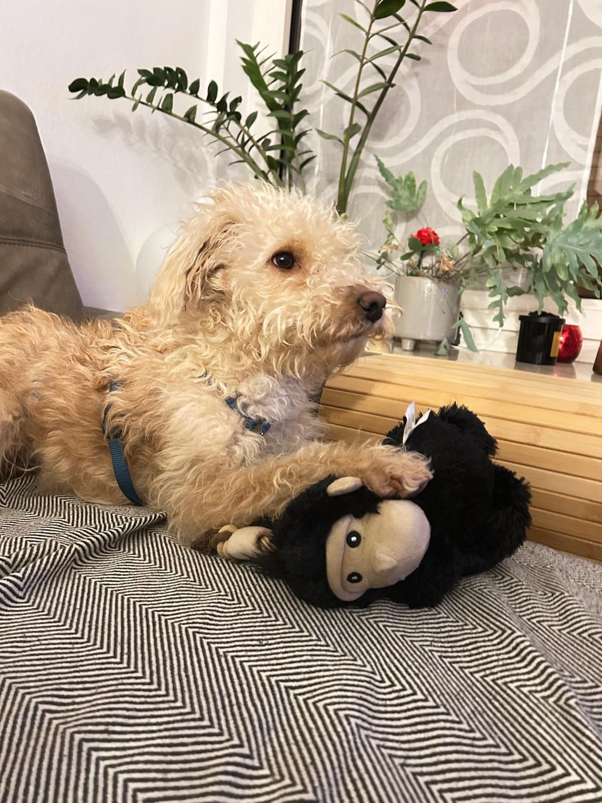 WhatsApp Image 2025-12-31 at 11.04.36.jpeg