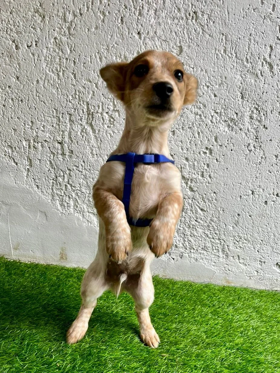 WhatsApp Image 2025-11-18 at 09.53.27.jpeg