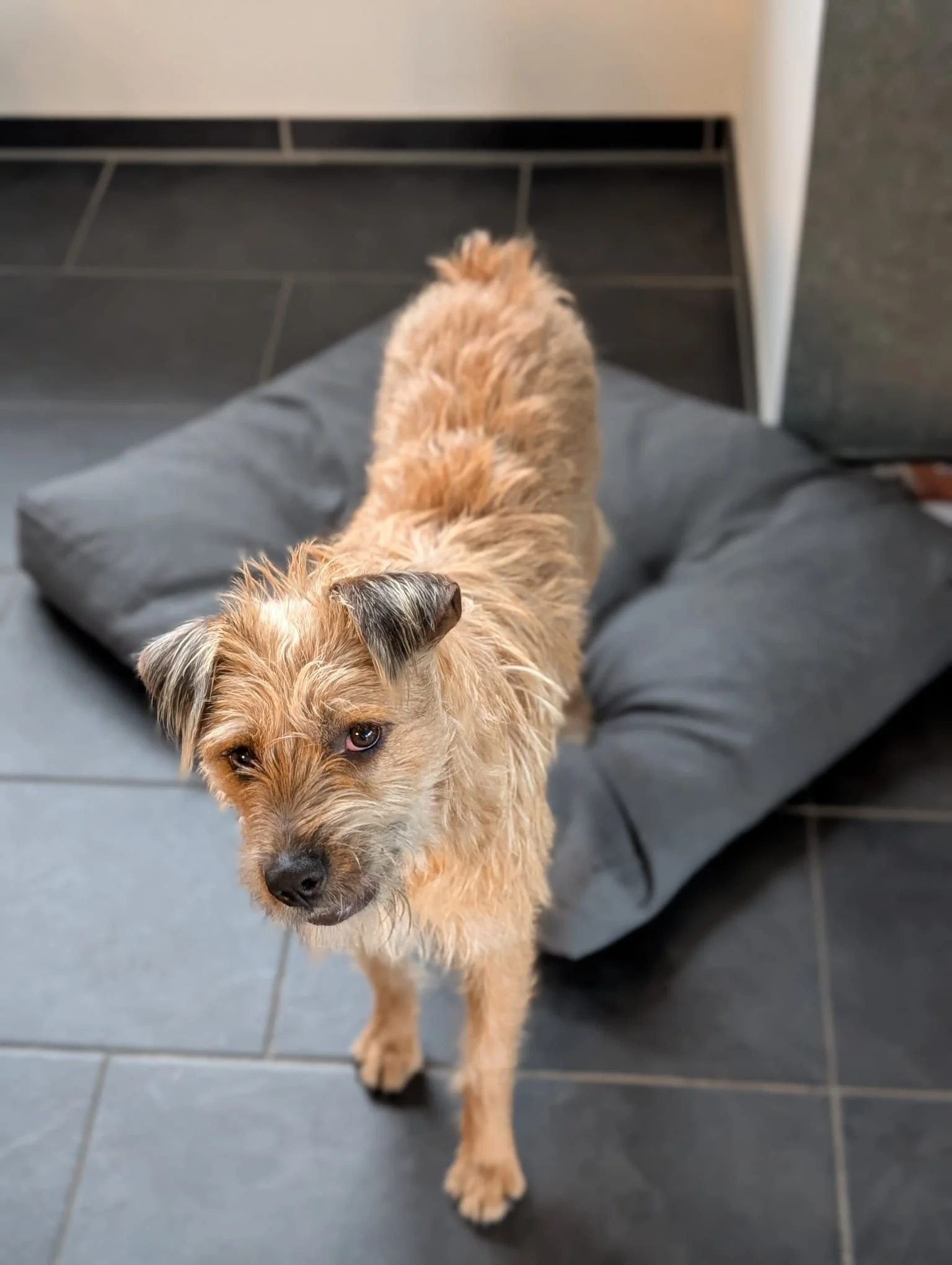 WhatsApp Image 2025-11-19 at 17.16.47 (1).jpeg