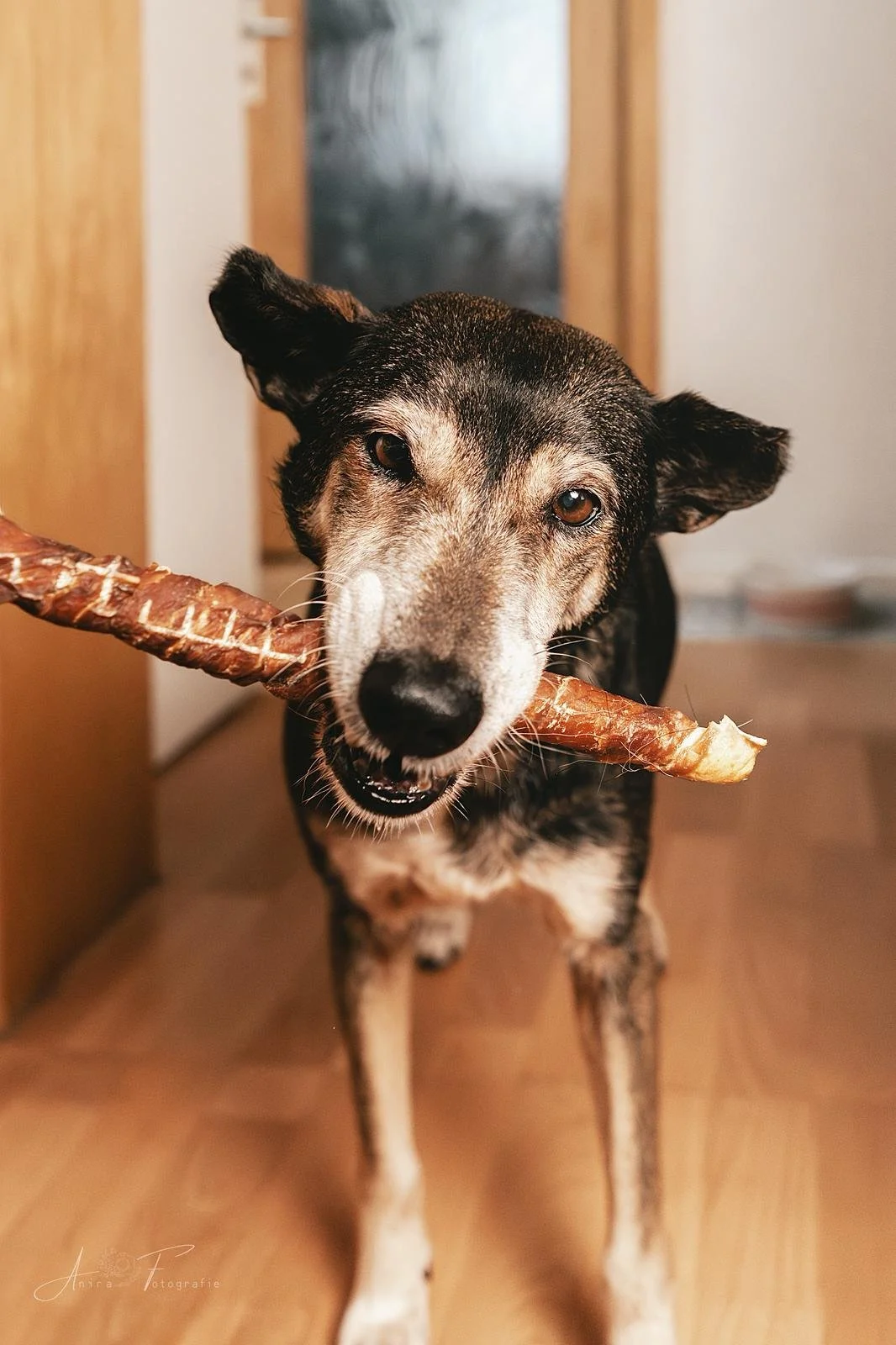 WhatsApp Image 2025-12-13 at 16.28.25.jpeg