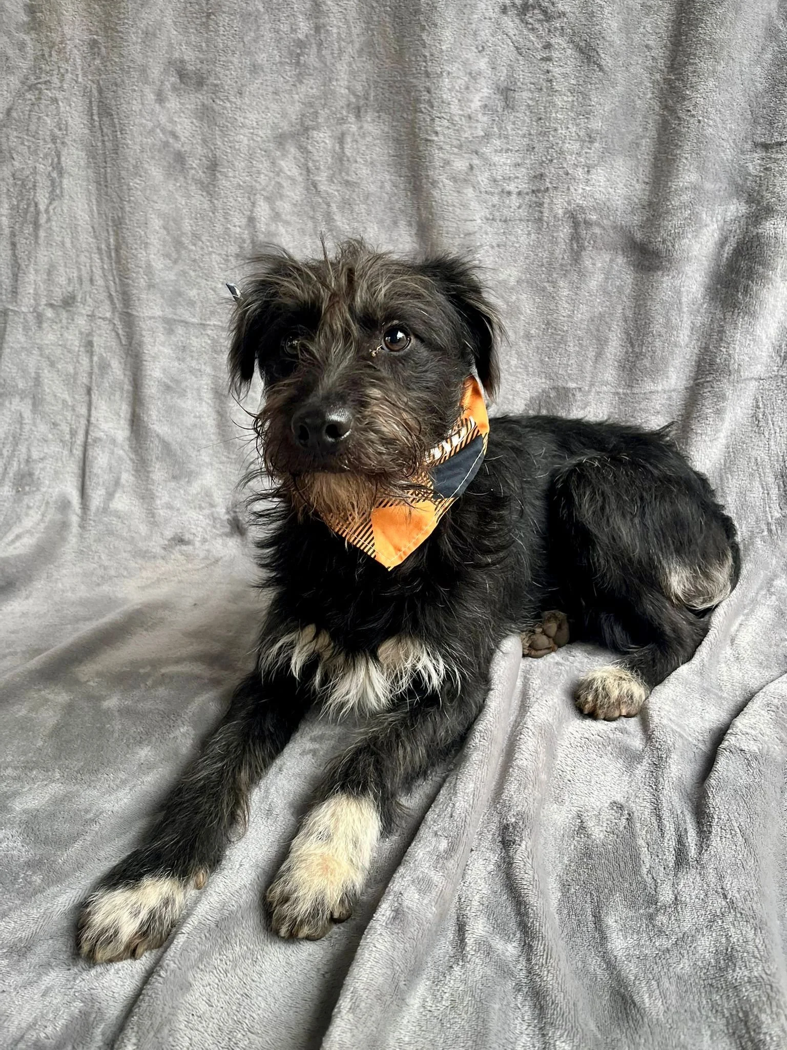 WhatsApp Image 2026-01-03 at 13.03.42 (1).jpeg