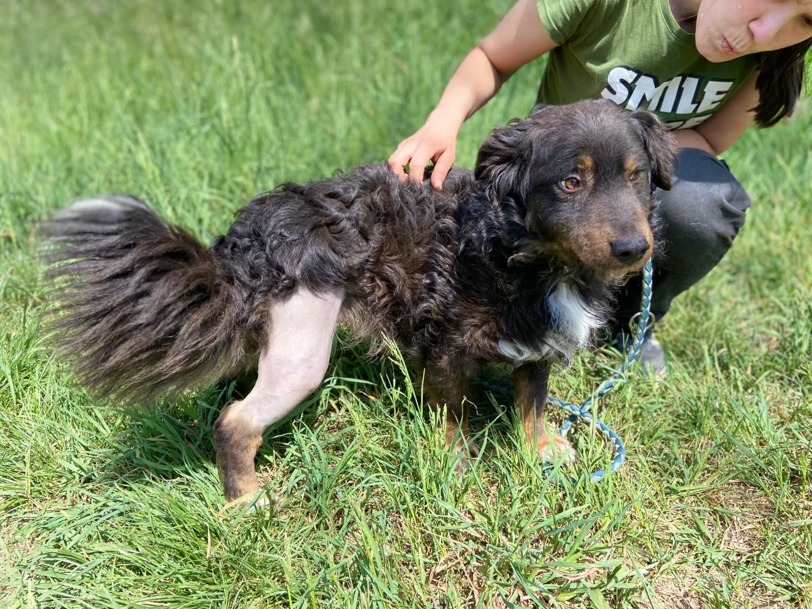 4b9a0156-a3b3-4ad8-b317-02950c268203.JPG